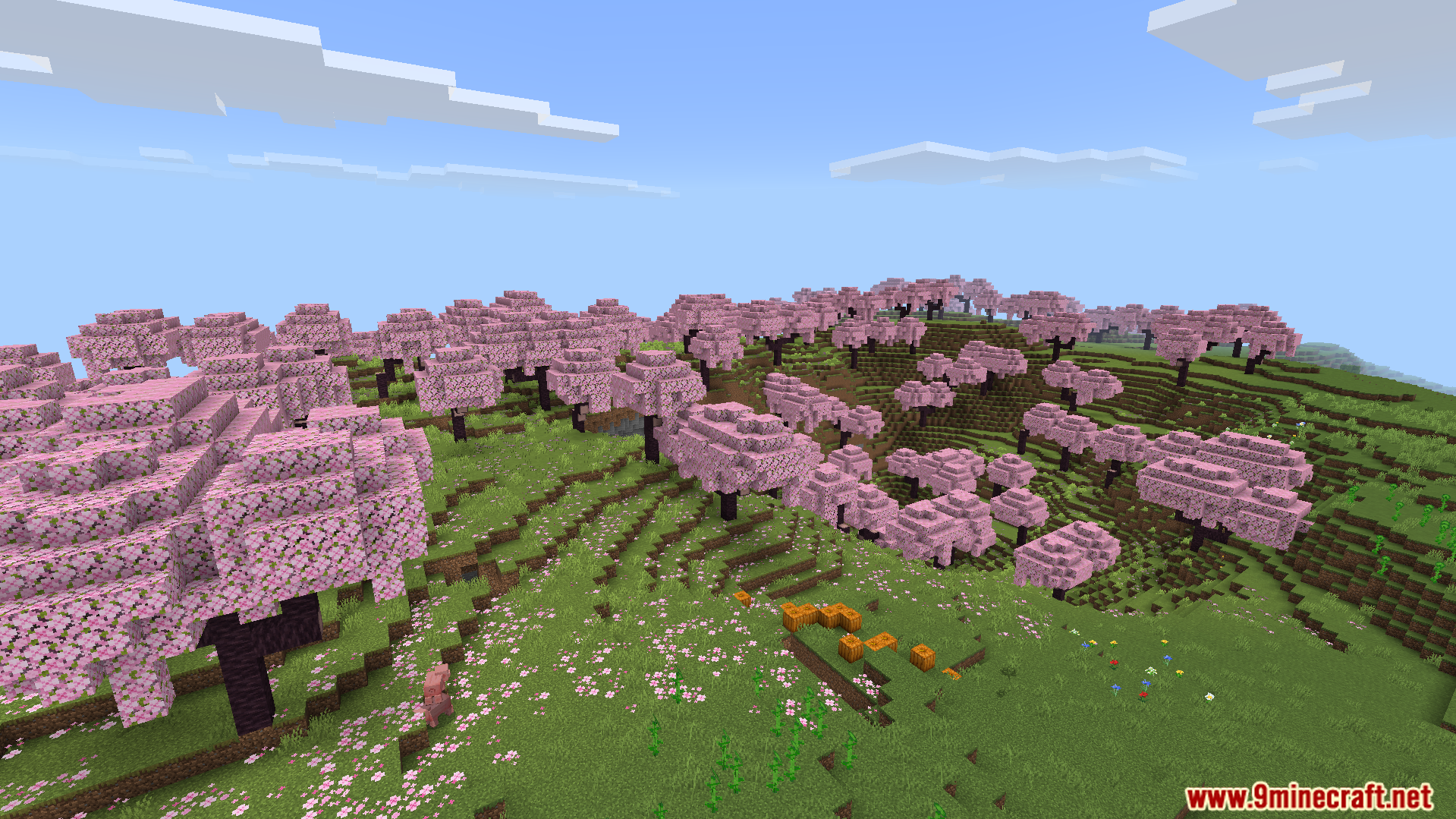 Rebuilt Shader Screenshot 3 Lush cherry grove biome featuring pink trees and pumpkins under a clear sky