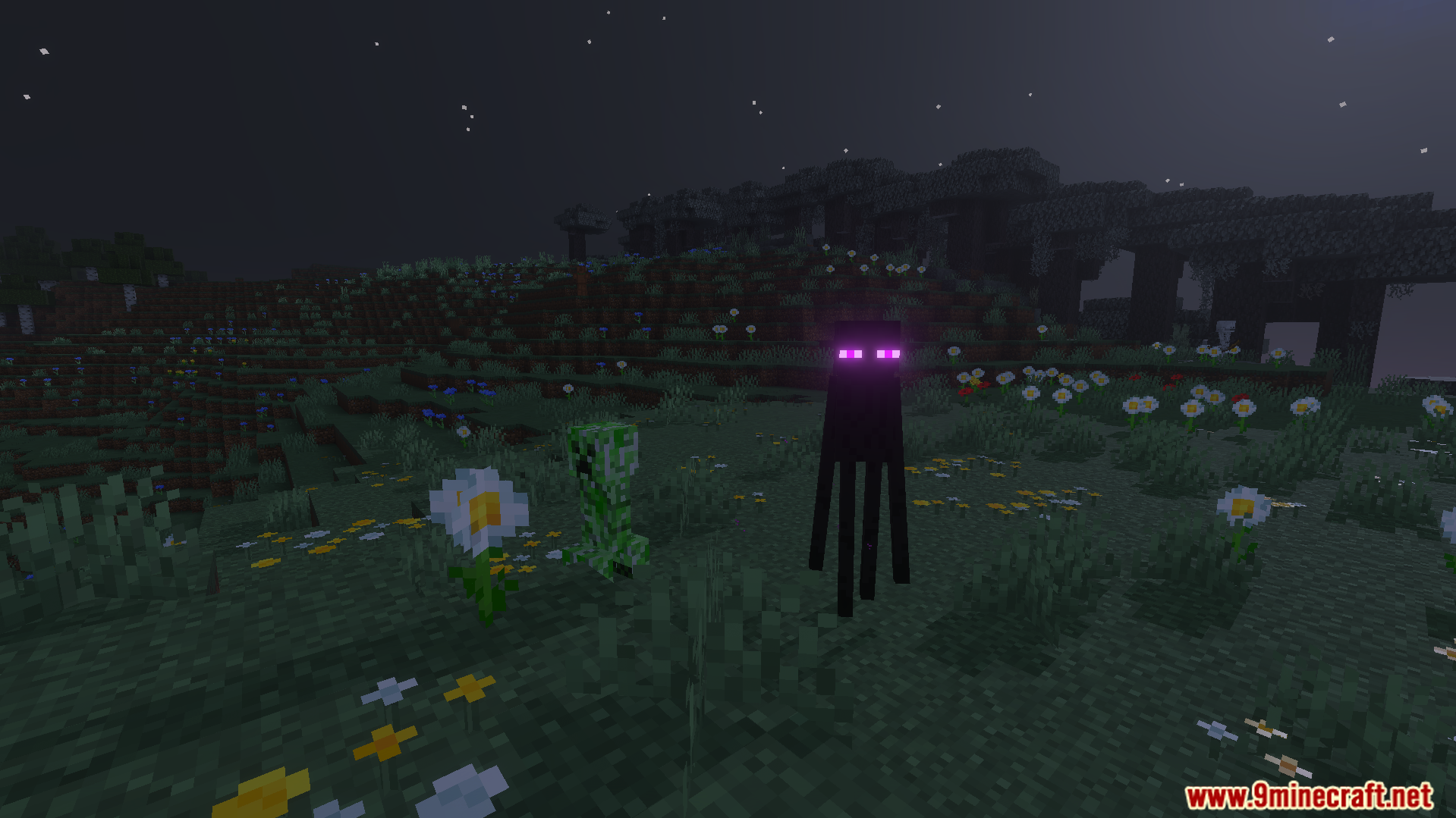Enderman and Creeper in a field with night vision and spawn indicators