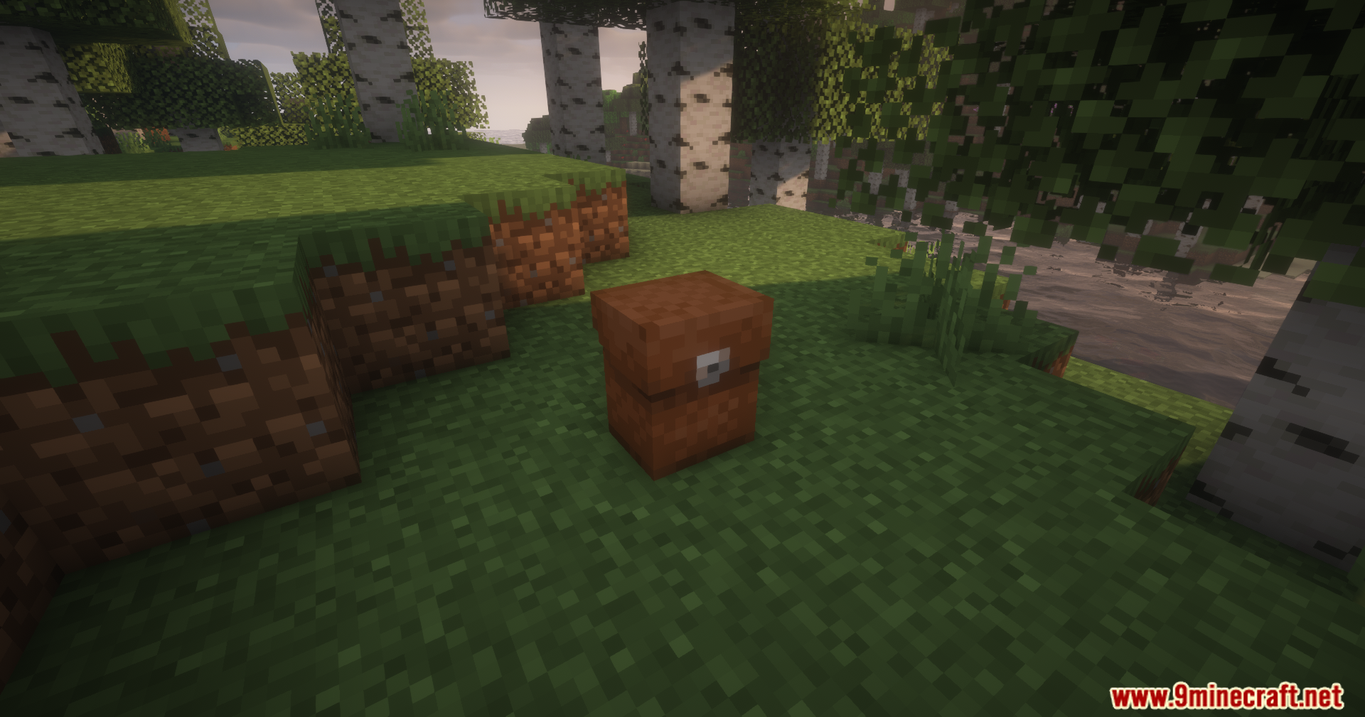 Reliable Backpacks Mod Screenshot 7 A brown backpack placed on the ground in a birch forest