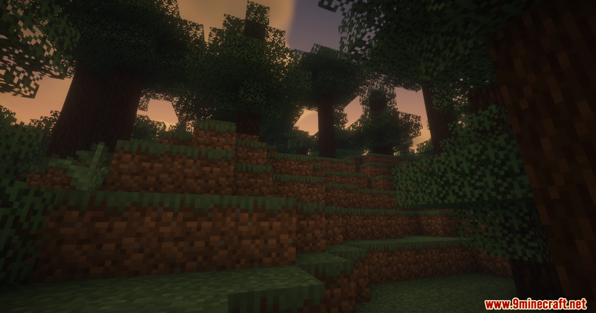Reliable Remover Mod Screenshot 8 A scenic view of a dense forest during a warm sunset with shaders