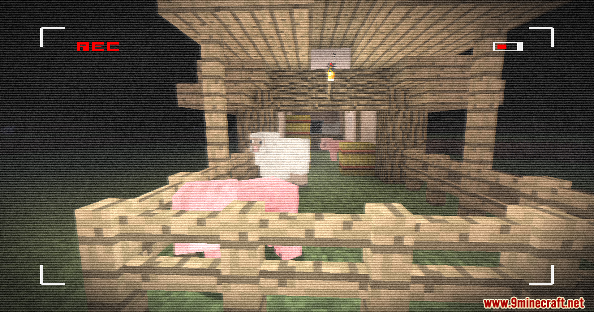 Retro VHS Screen Shaders Screenshot 7 Minecraft pig and sheep in a wooden pen with VHS recording overlay