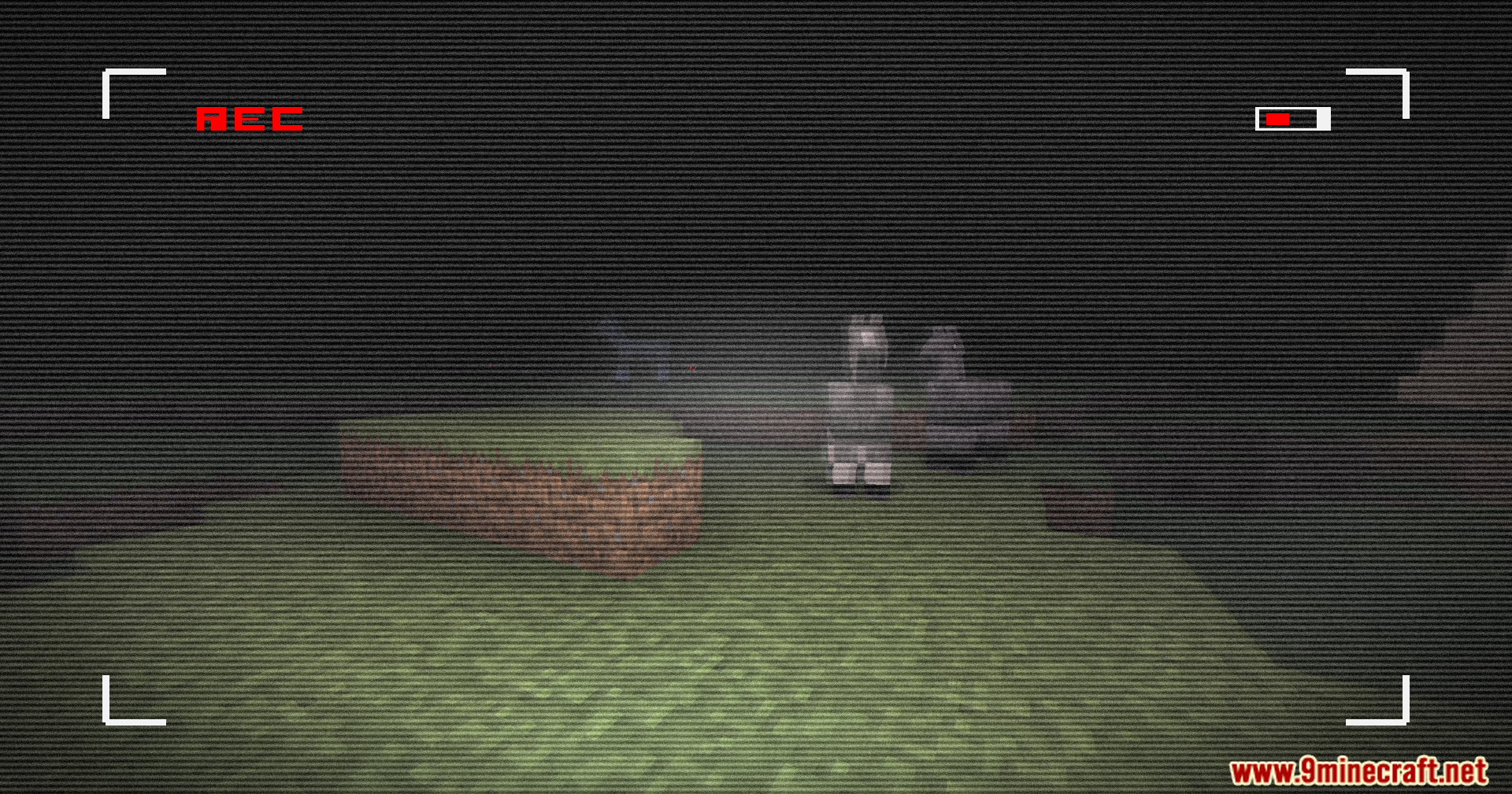 Retro VHS Screen Shaders Screenshot 8 Llamas standing in a dark field viewed through a retro camcorder filter