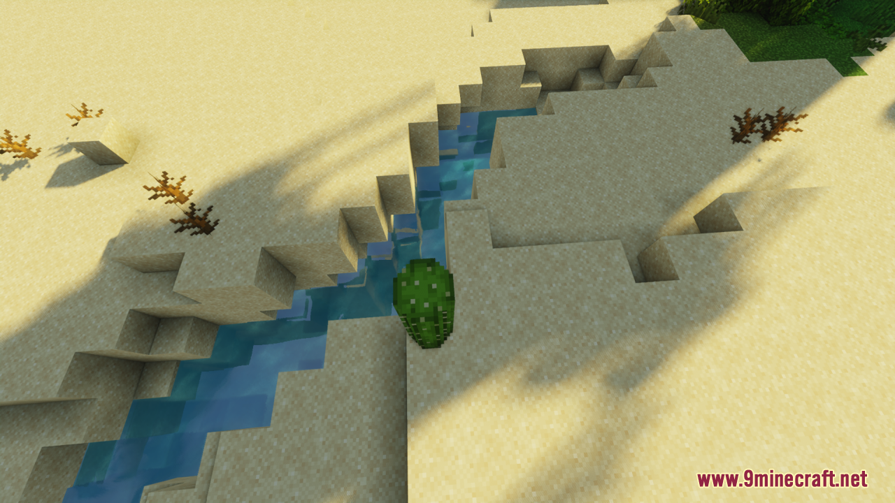 A rounded cactus stands next to a small water stream in the desert
