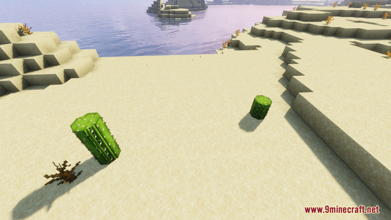 Rounded cacti standing on a flat desert beach next to the water