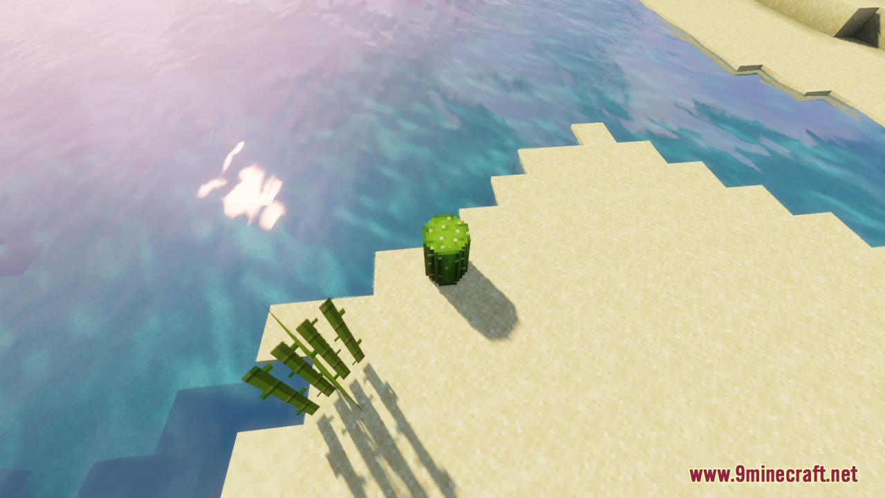 Top down view of a rounded cactus block next to sugar cane