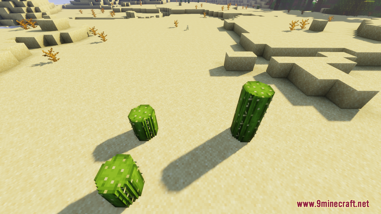 Three rounded cactus blocks standing on sand in a sunny desert biome
