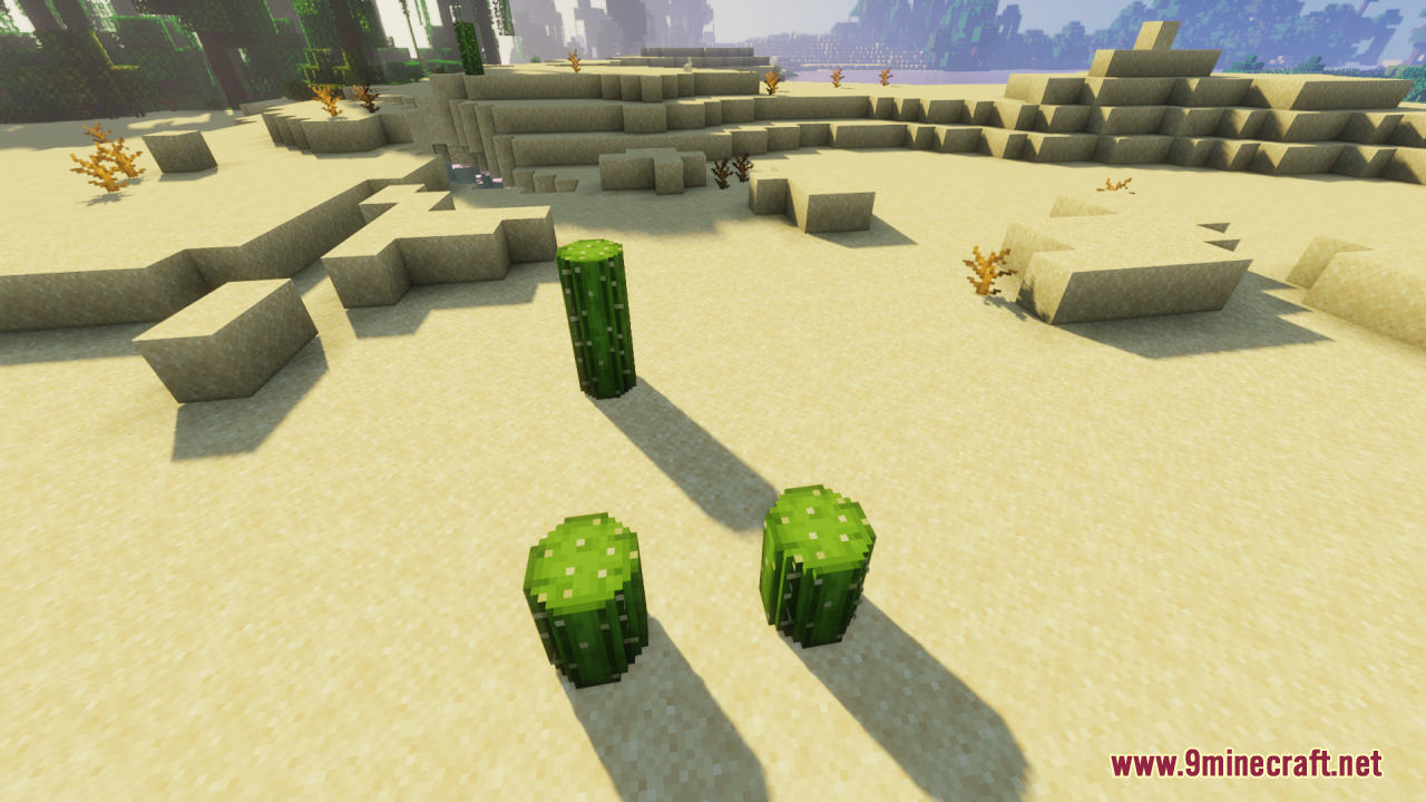 Rounded cacti models placed on sand with a jungle in the background
