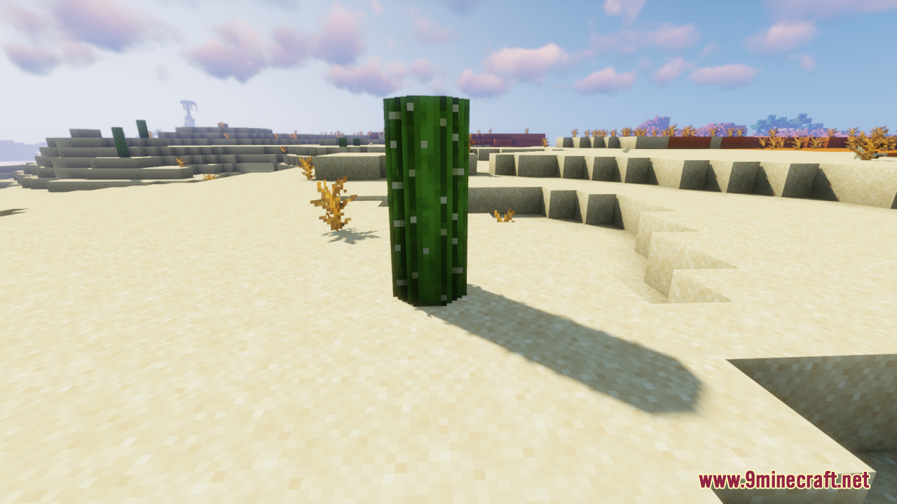 A tall rounded cactus casting a long shadow on the desert sand