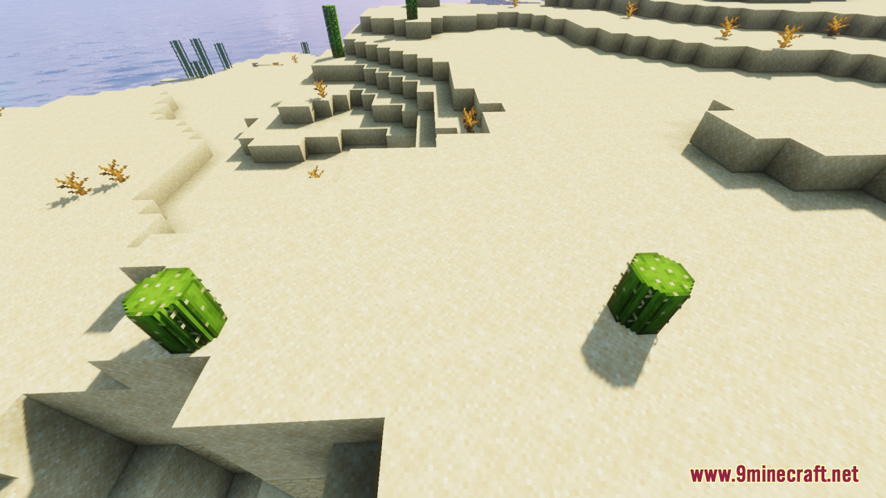 Two short rounded cacti placed on the sand in a desert landscape