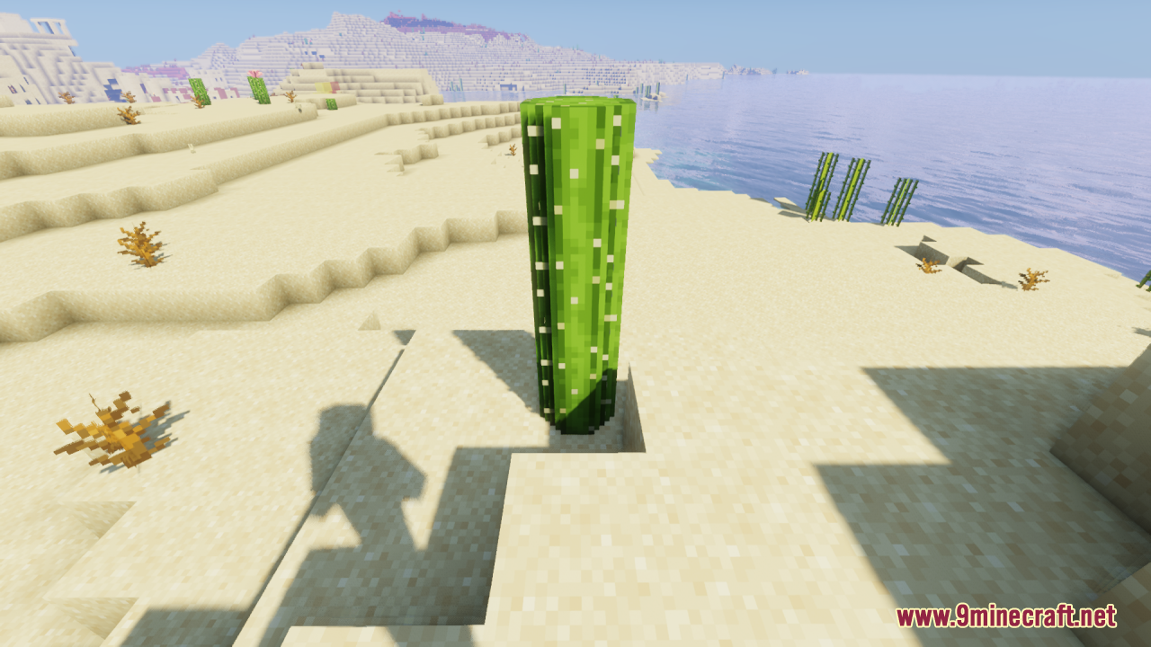 Two rounded cactus blocks stacked together in a bright Minecraft desert landscape