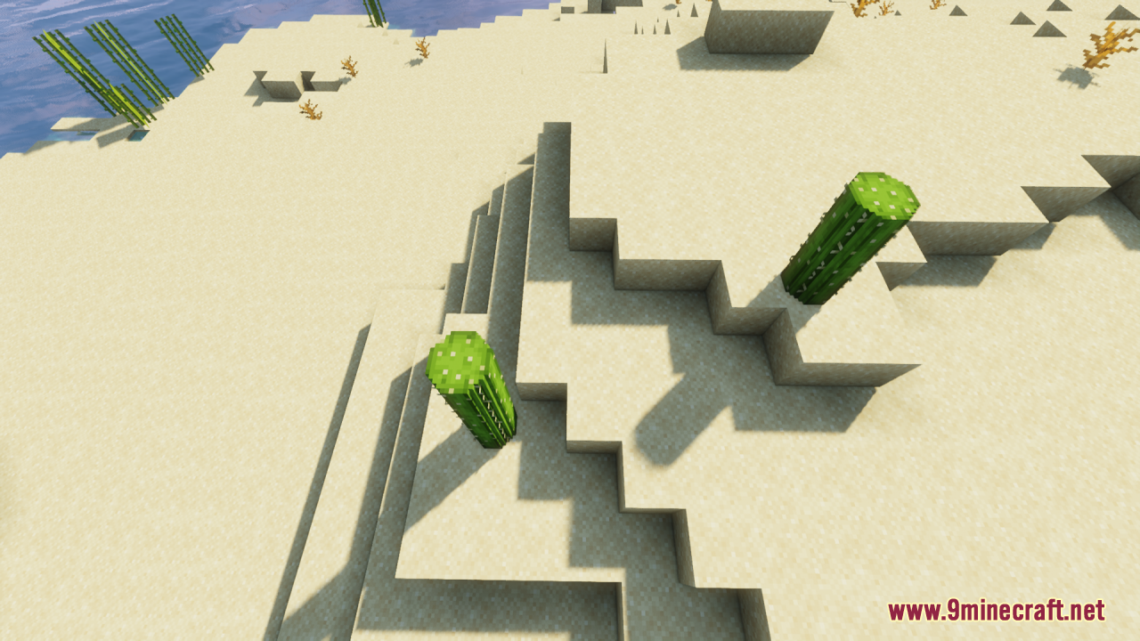 Two rounded cacti placed on a sandy desert slope with realistic shadows