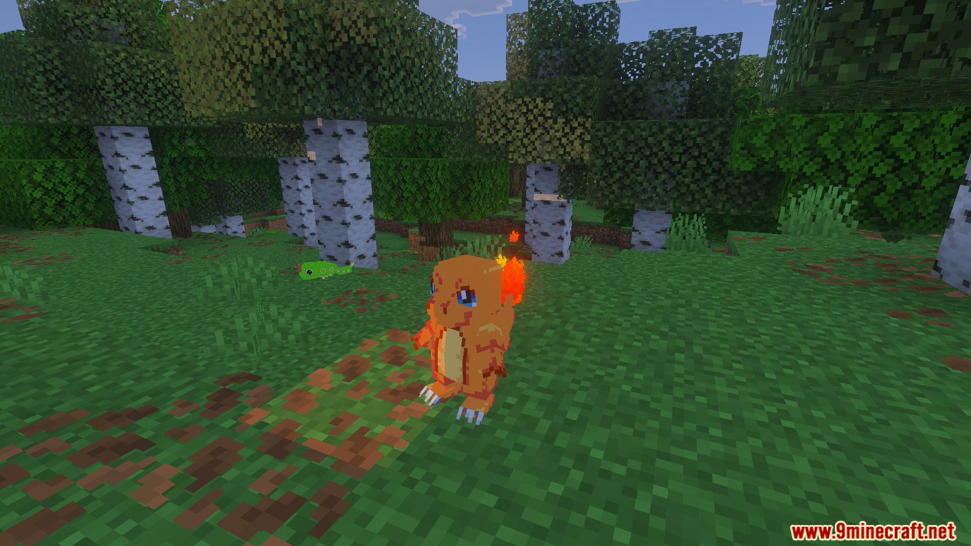 A Charmander and a Caterpie standing in a birch forest in Minecraft