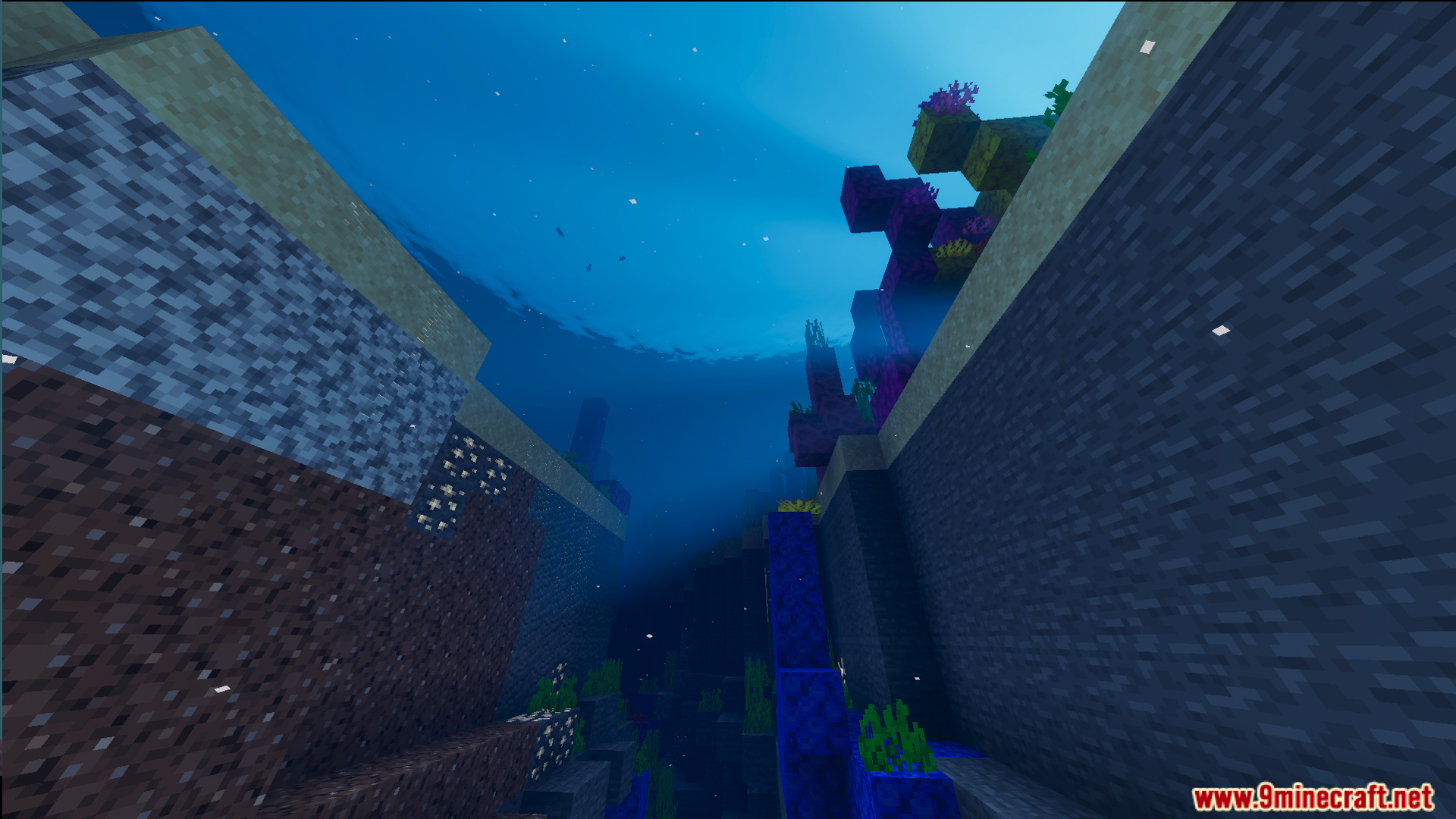Deep underwater canyon with colorful coral reefs in the SURVIVE UNDERWATER map