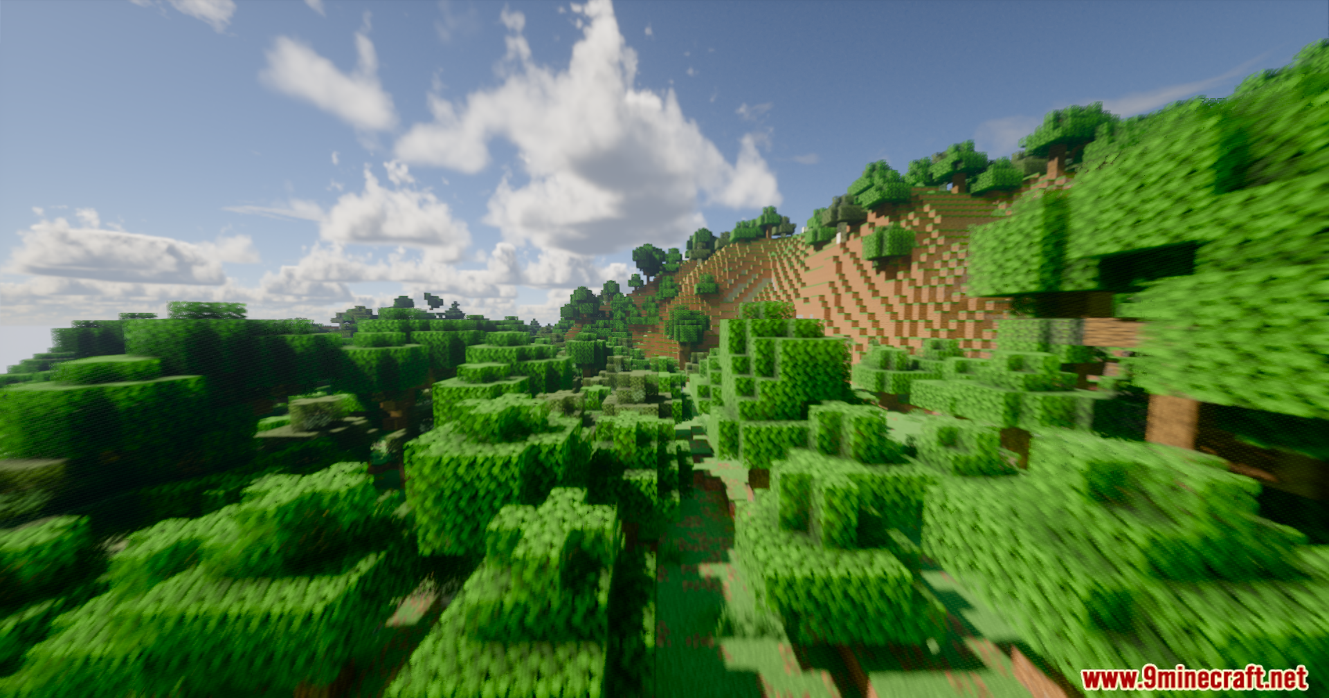 Serendipity Shaders Screenshot 7 A lush green forest landscape with realistic lighting and soft volumetric clouds
