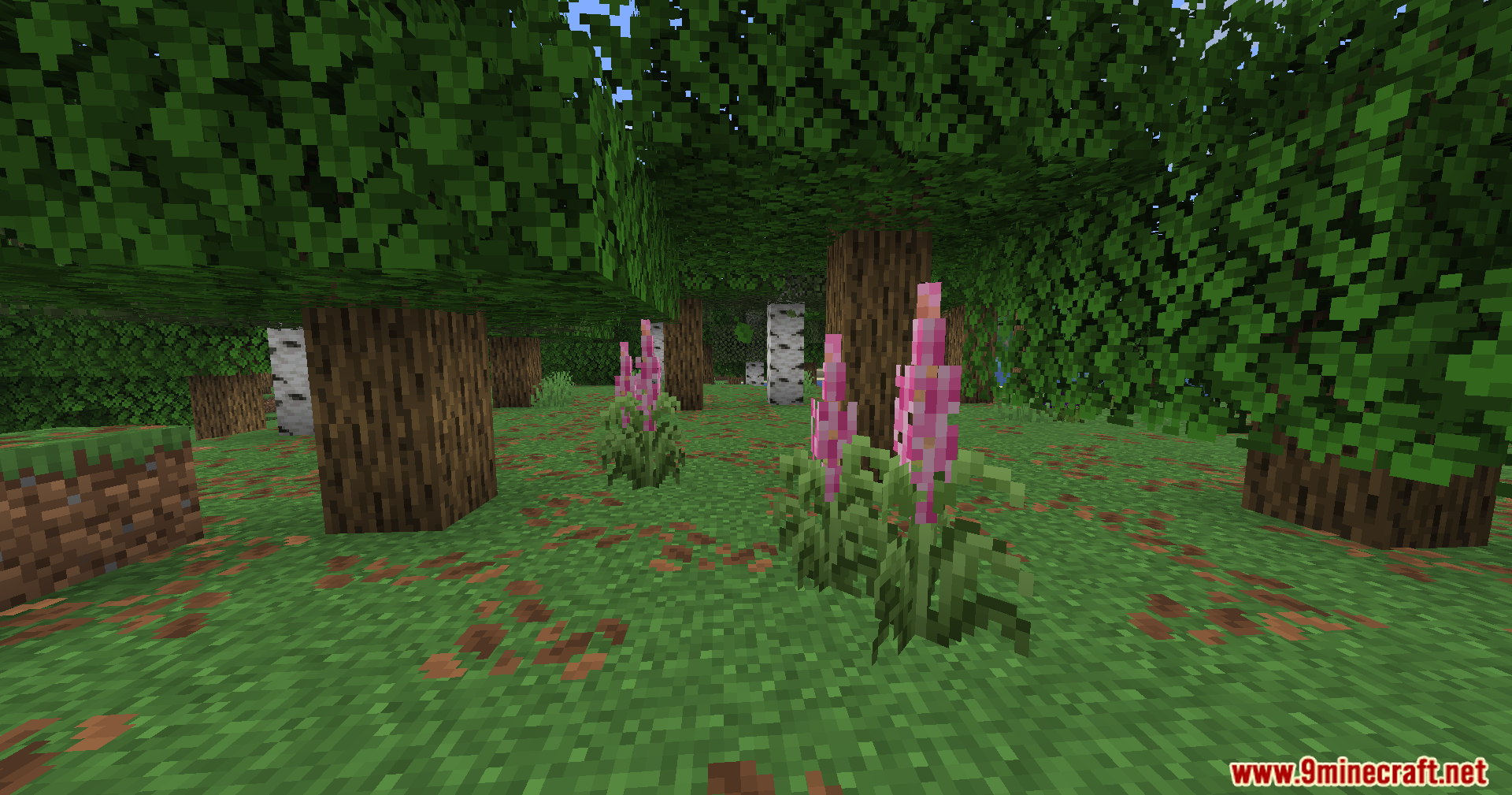 Serene Shrubbery Fabric Mod Screenshot 10 Pink foxgloves from the Serene Shrubbery mod growing in a forest