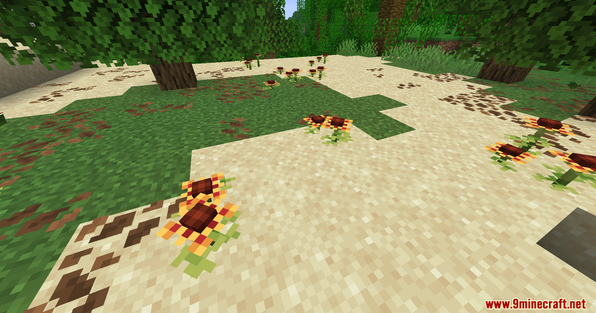 Serene Shrubbery Fabric Mod Screenshot 11 Small Crown Cacti flowers growing on sand and grass near a forest