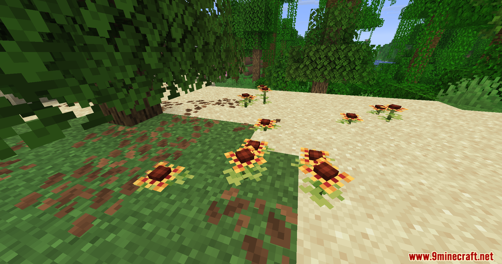 Serene Shrubbery Fabric Mod Screenshot 12 A cluster of Crown Cacti flowers blooming on sand in a jungle