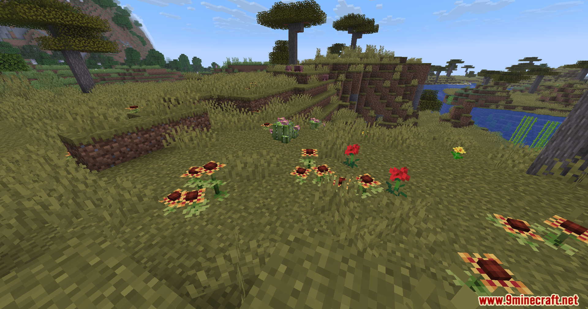 Serene Shrubbery Fabric Mod Screenshot 3 New flower types from Serene Shrubbery mod blooming in a savanna landscape