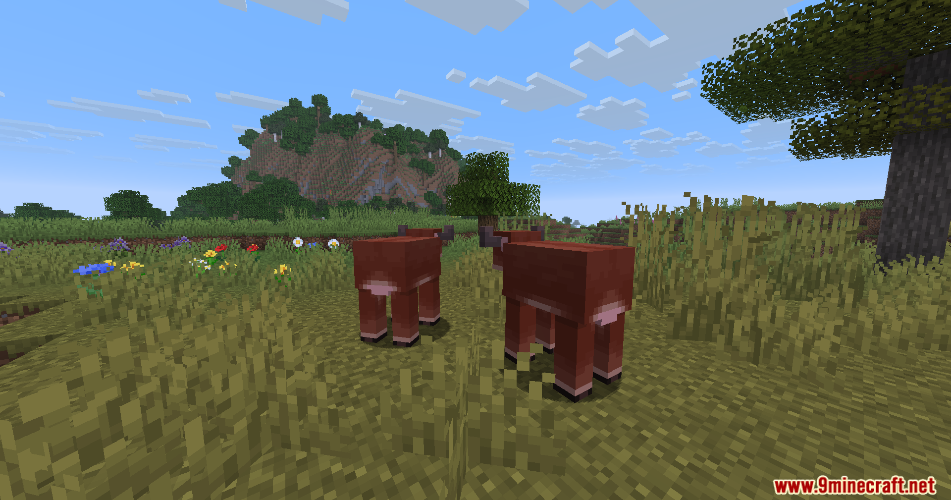 Serene Shrubbery Fabric Mod Screenshot 4 Two brown cows standing in a grassy field with colorful flowers behind them