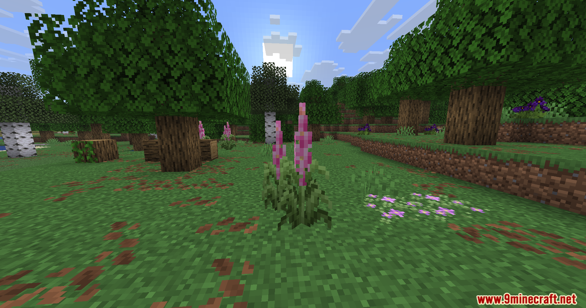Serene Shrubbery Fabric Mod Screenshot 5 Tall pink foxgloves and small purple flowers growing in a forest biome
