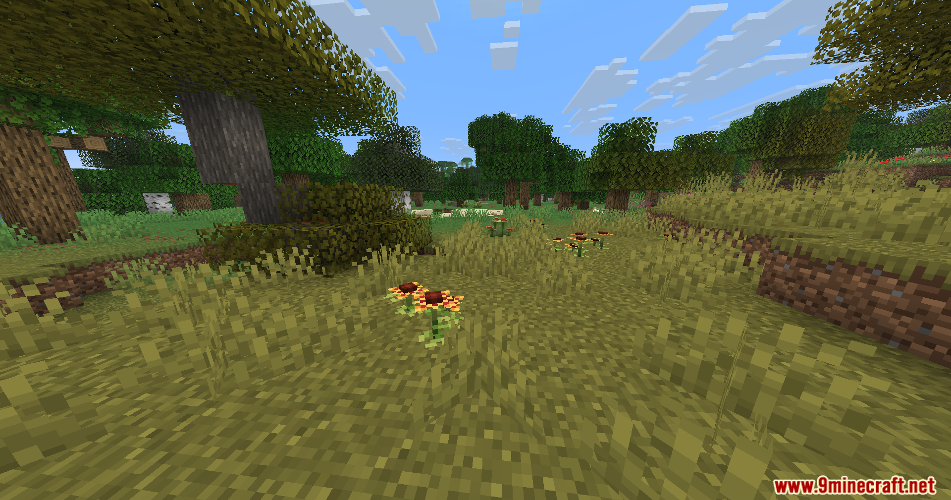 Serene Shrubbery Fabric Mod Screenshot 6 Yellow and orange pansies blooming in a grassy Minecraft meadow landscape