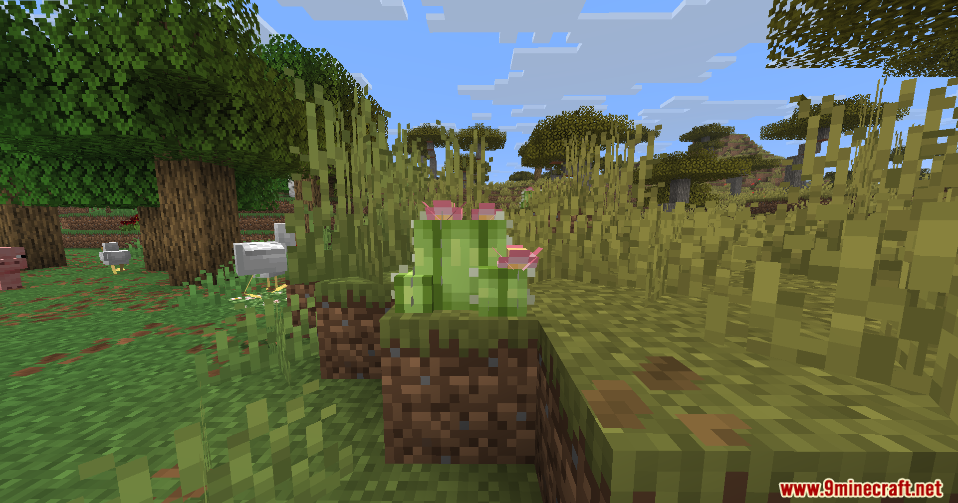 Serene Shrubbery Fabric Mod Screenshot 7 A Crown Cactus with pink flowers growing in a grassy savanna biome