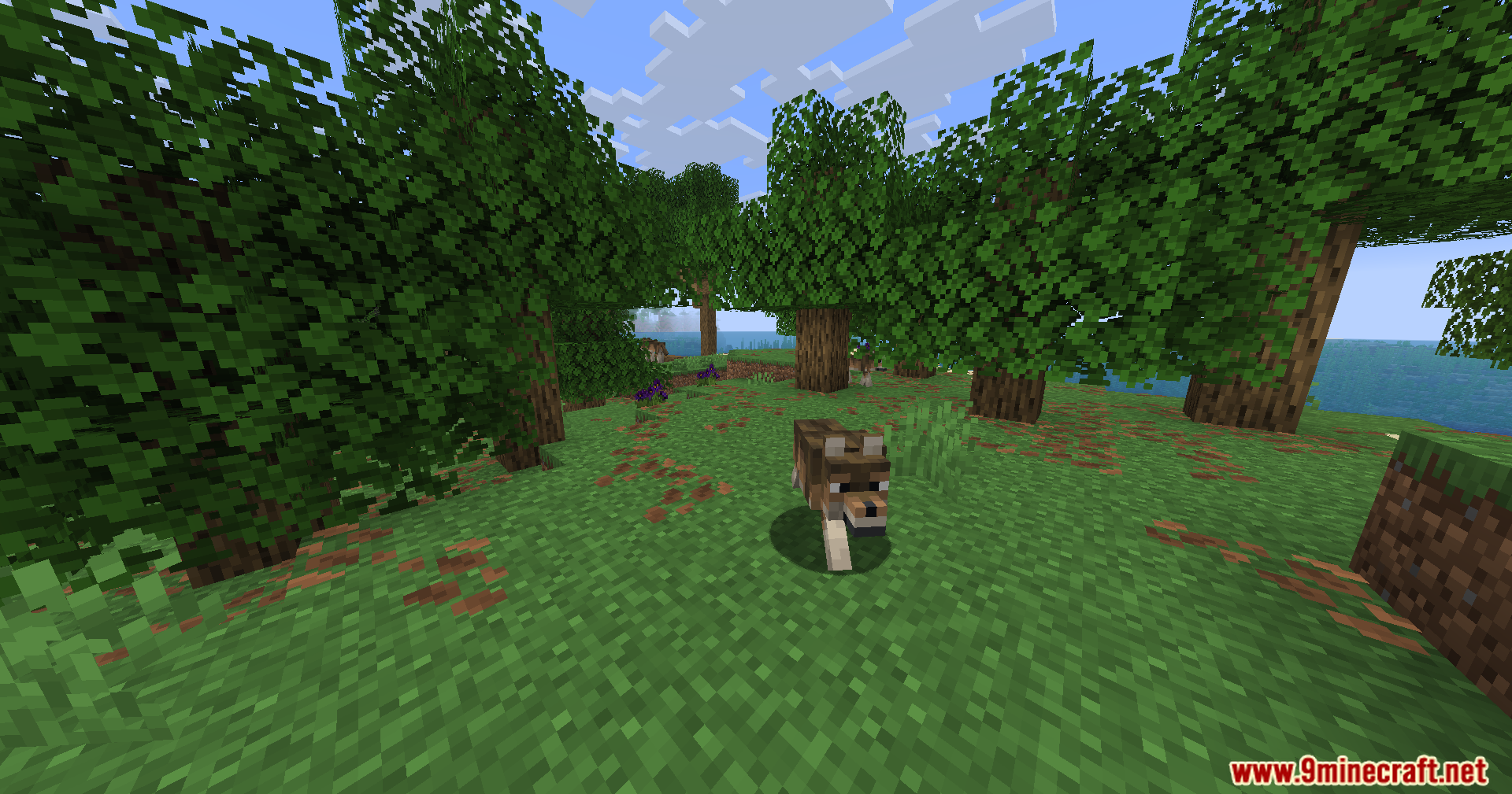 Serene Shrubbery Fabric Mod Screenshot 9 A wild wolf stands in a lush forest near some purple flowers