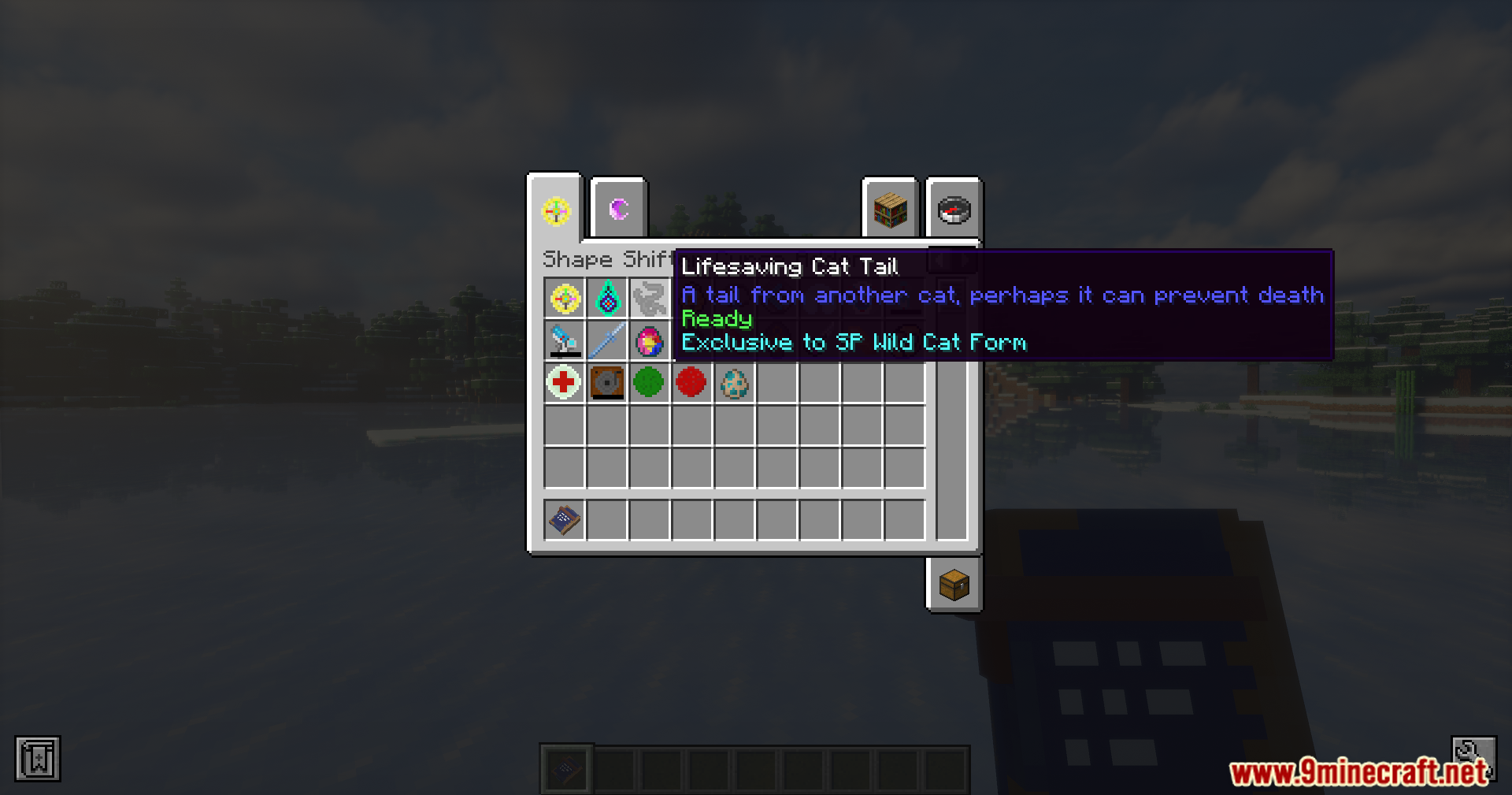 Lifesaving Cat Tail item tooltip displayed in the Shape Shifter Curse Addon menu