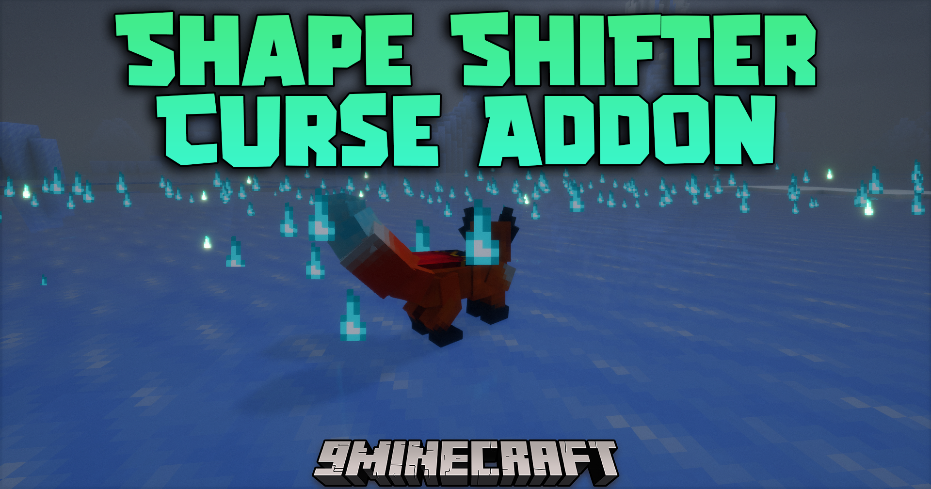 Shape Shifter Curse Addon Mod