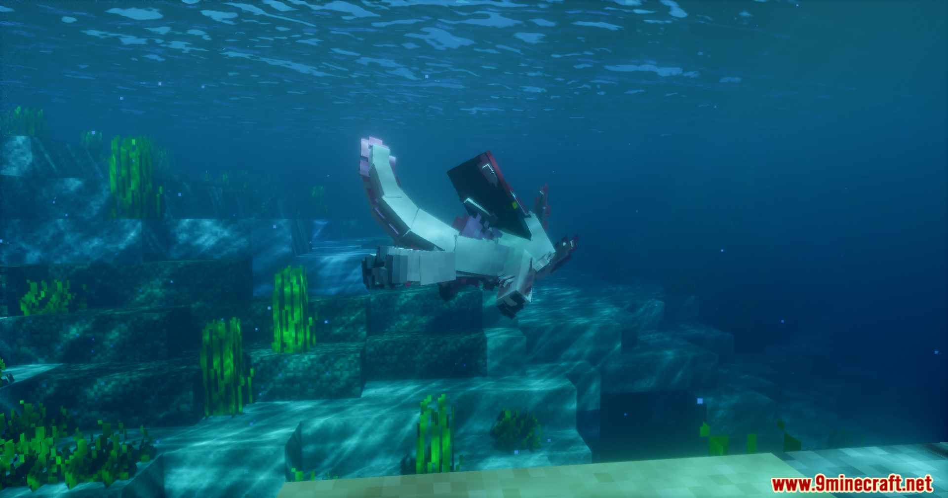 A player transformed into an axolotl swimming through a dark underwater environment