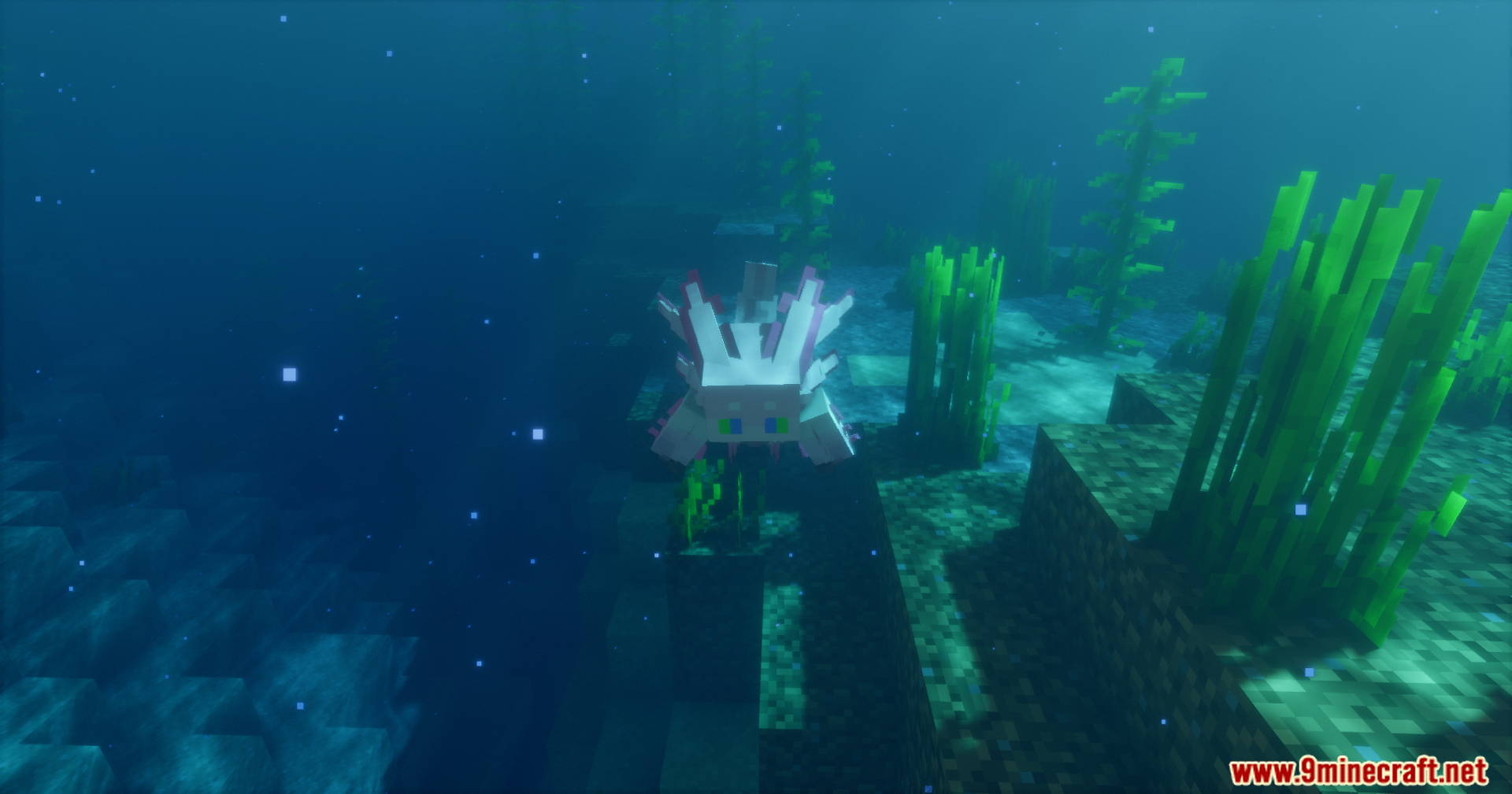 Front view of the custom axolotl model swimming in a deep blue ocean