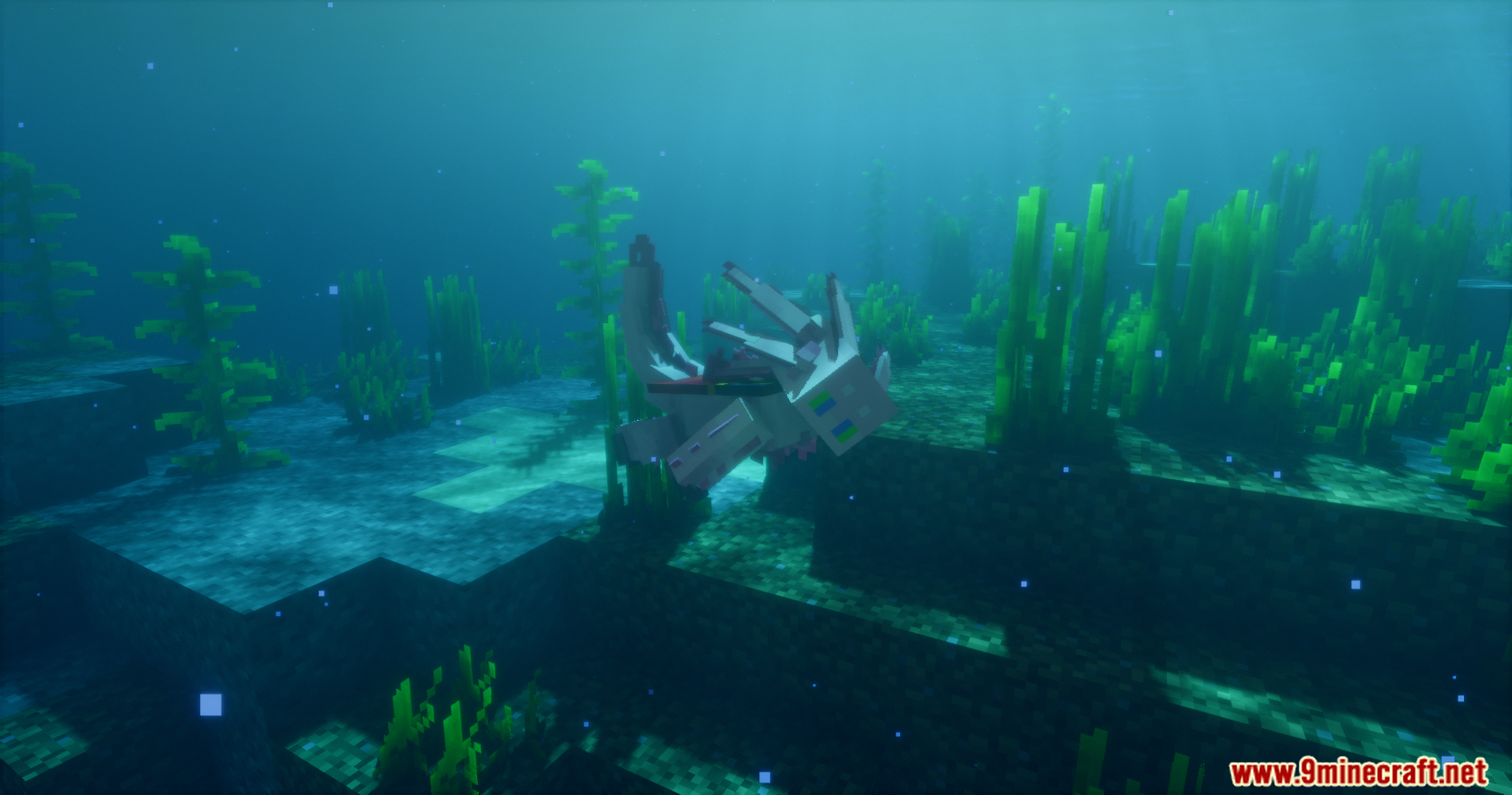 A white axolotl swims through a dark blue underwater kelp forest biome
