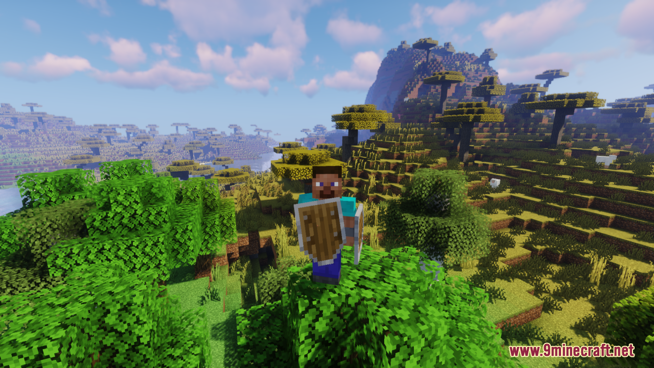 Simple Kite Shield Resource Pack Screenshot 12 Front view of a player holding a wooden kite shield in savanna