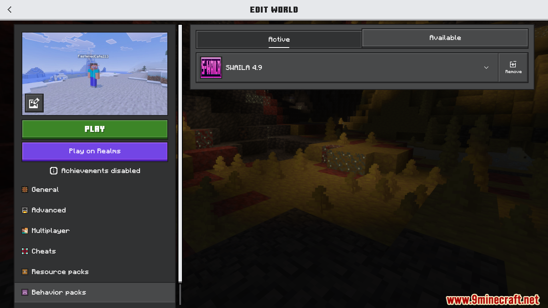 Minecraft world edit menu showing the SWAILA behavior pack is currently active