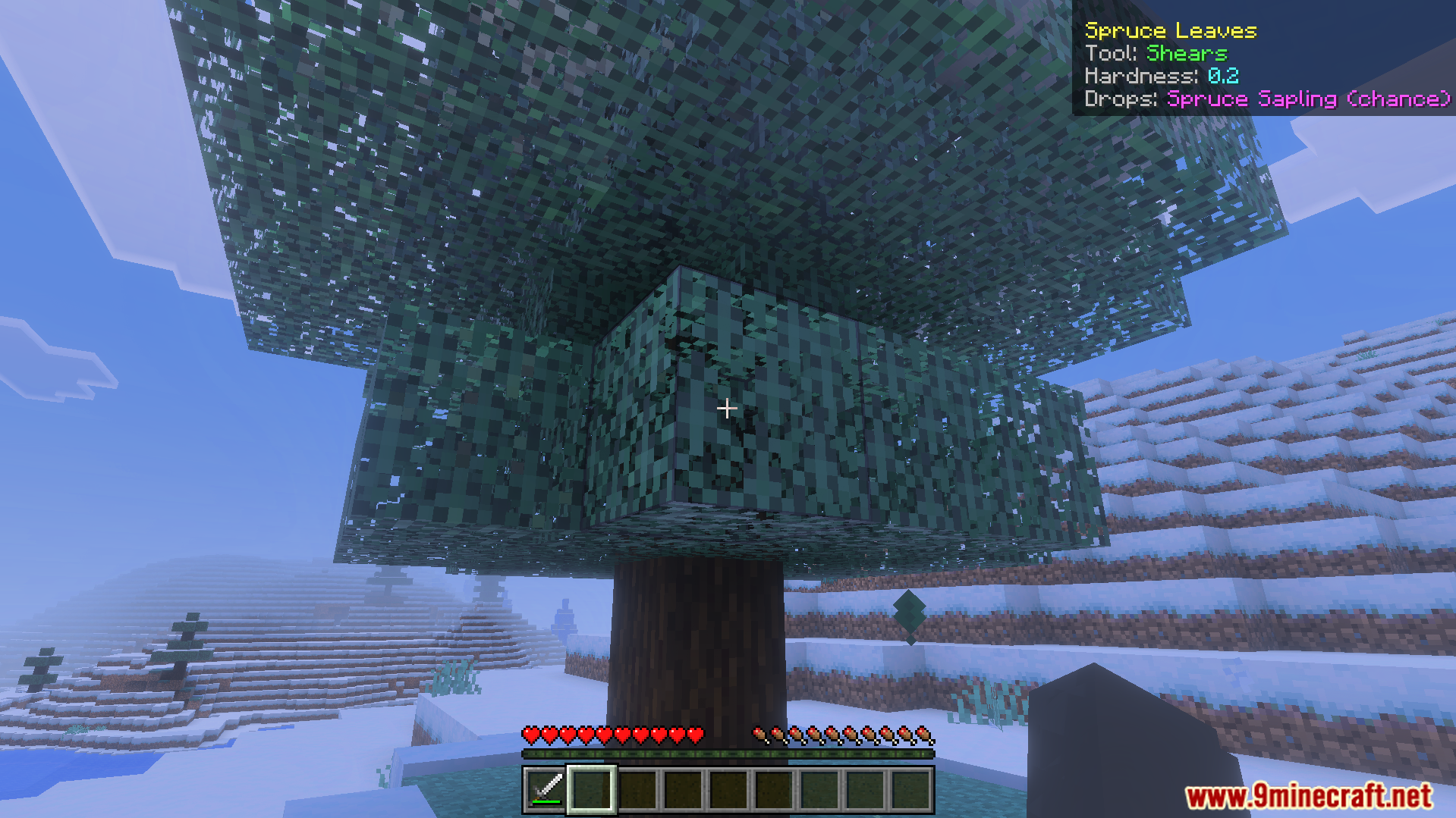 Simple What Am I Looking At Addon showing block details for spruce leaves