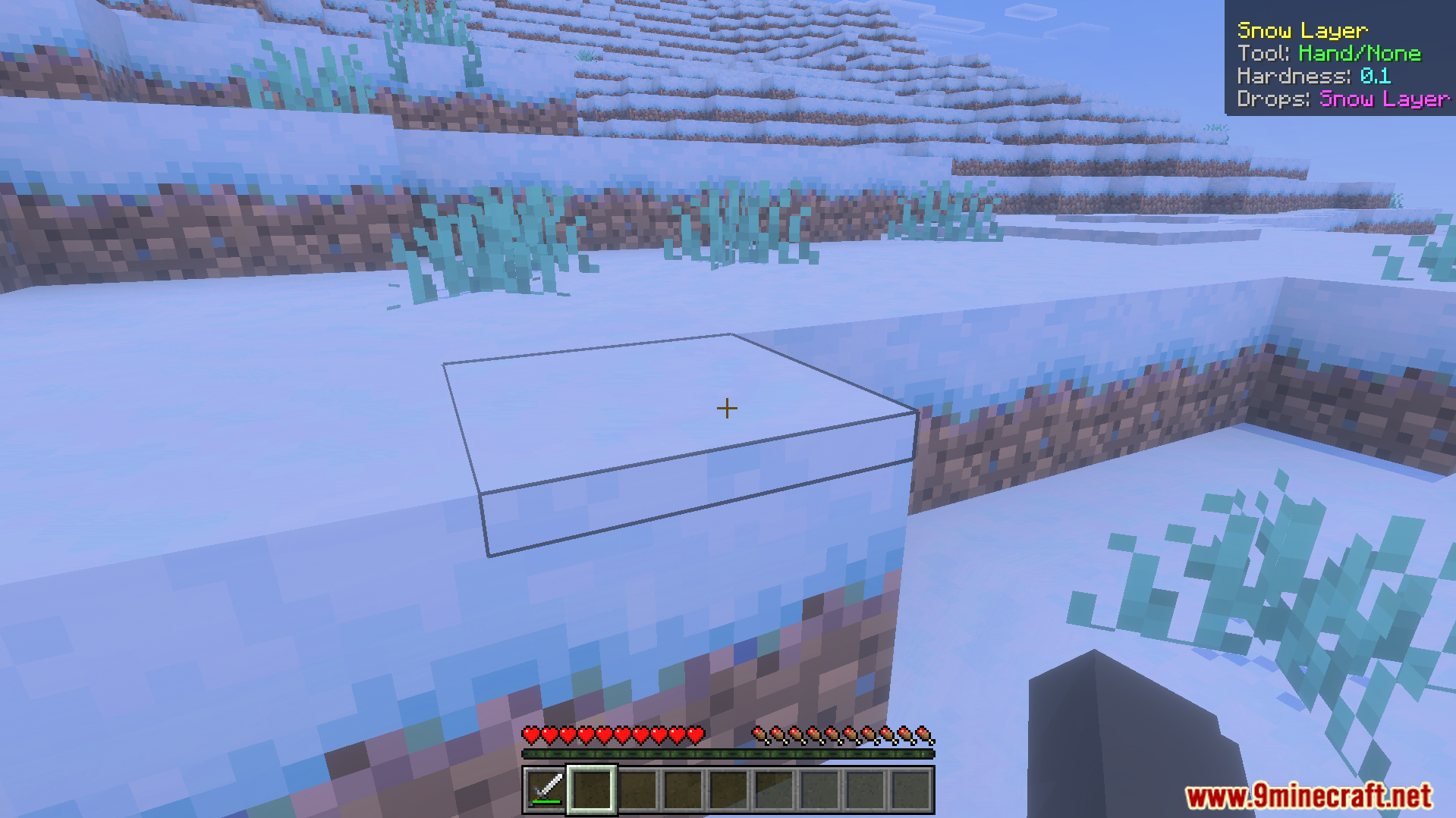 Simple What Am I Looking At Addon displaying information for a snow layer