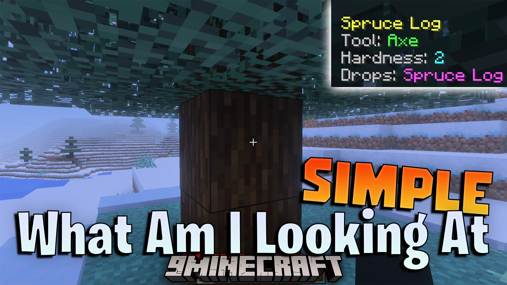 Simple What Am I Looking at Addon