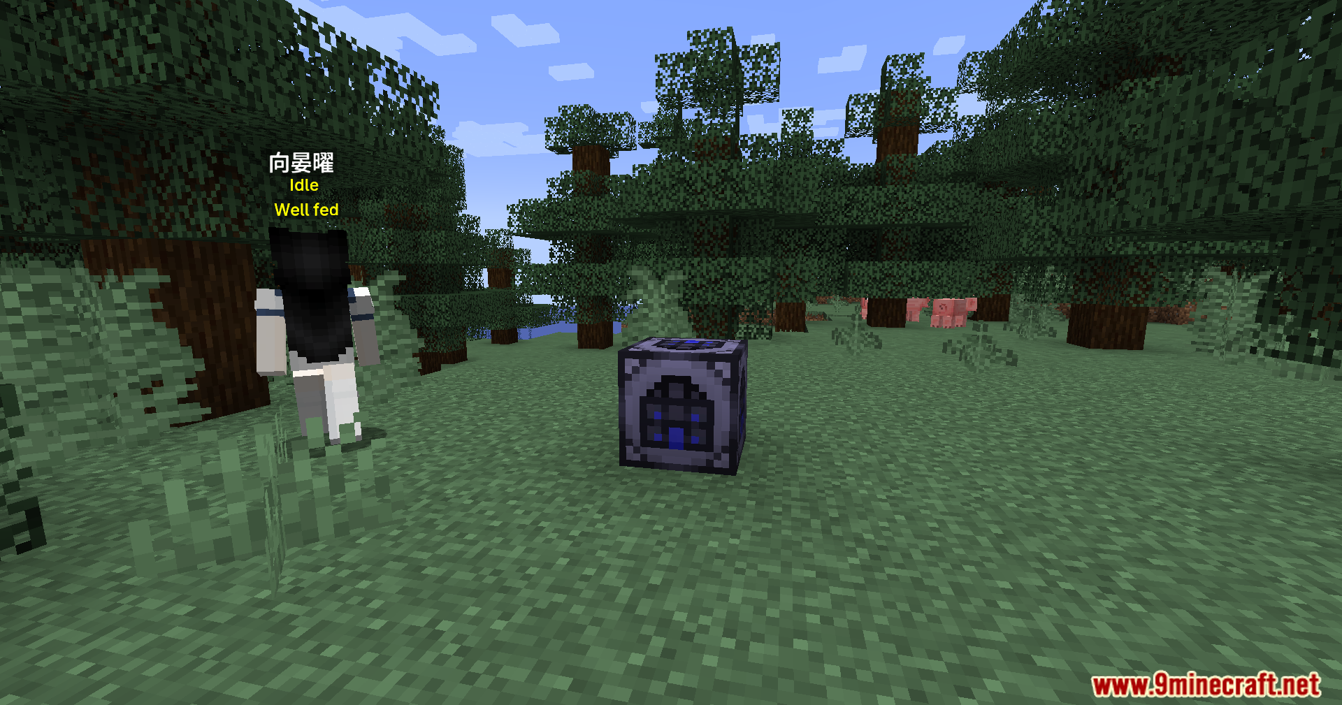 SimuPack Mod Screenshot 5 A player character standing next to a SimuPack structure block in a forest