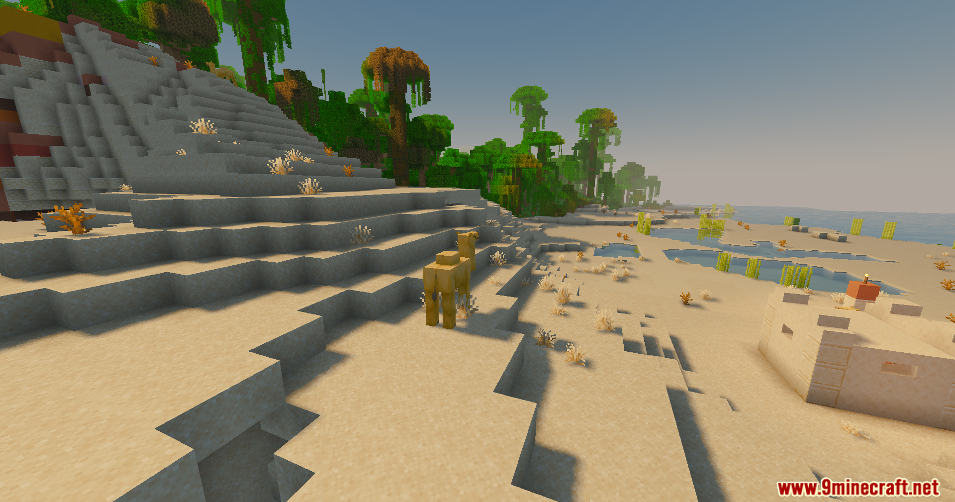 Slight Shaders Screenshot 4 A camel stands on a sandy hill overlooking a jungle and water