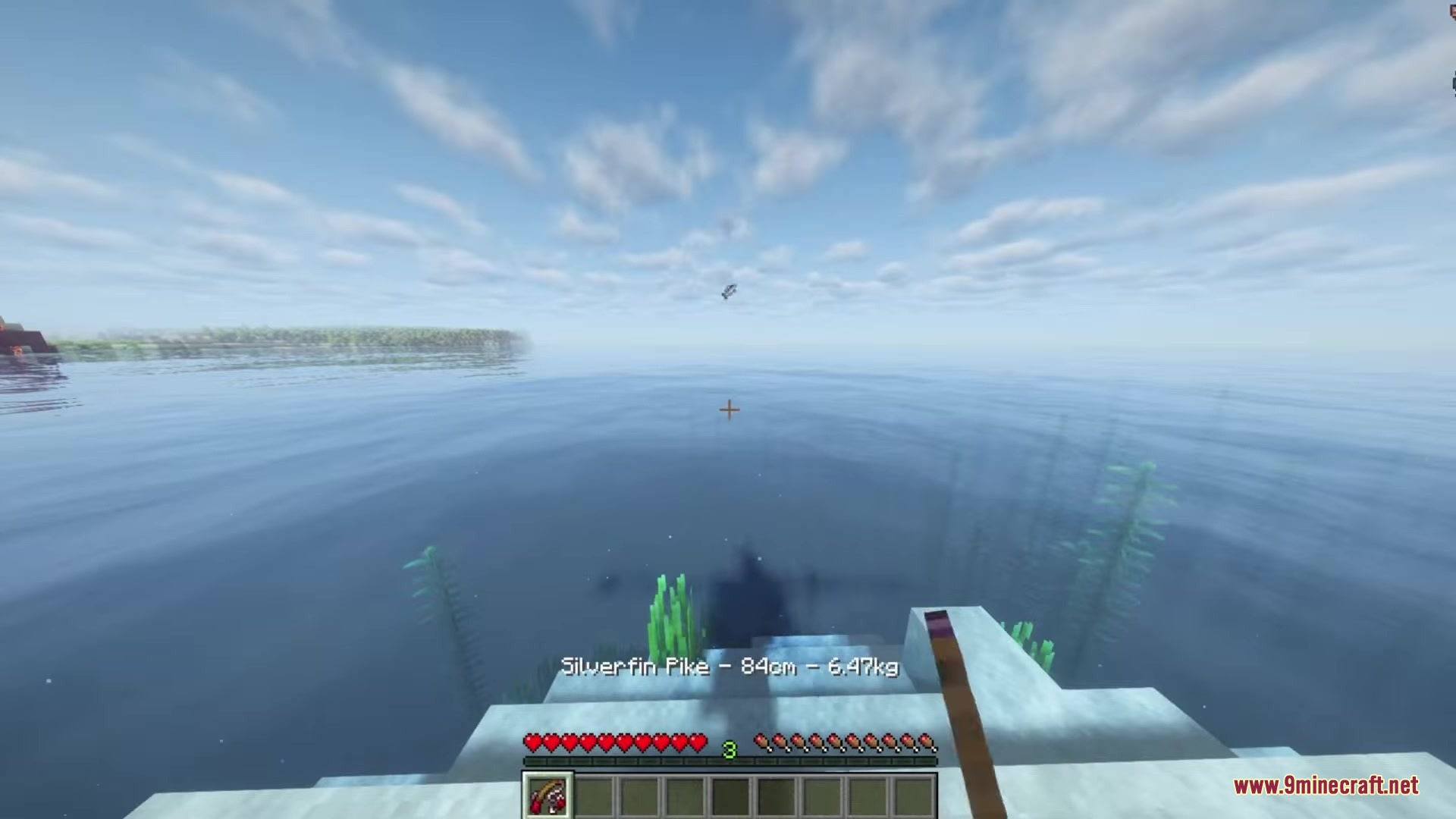 Starcatcher Mod Screenshot 11 A player catches a Silverfin Pike while fishing in a frozen biome