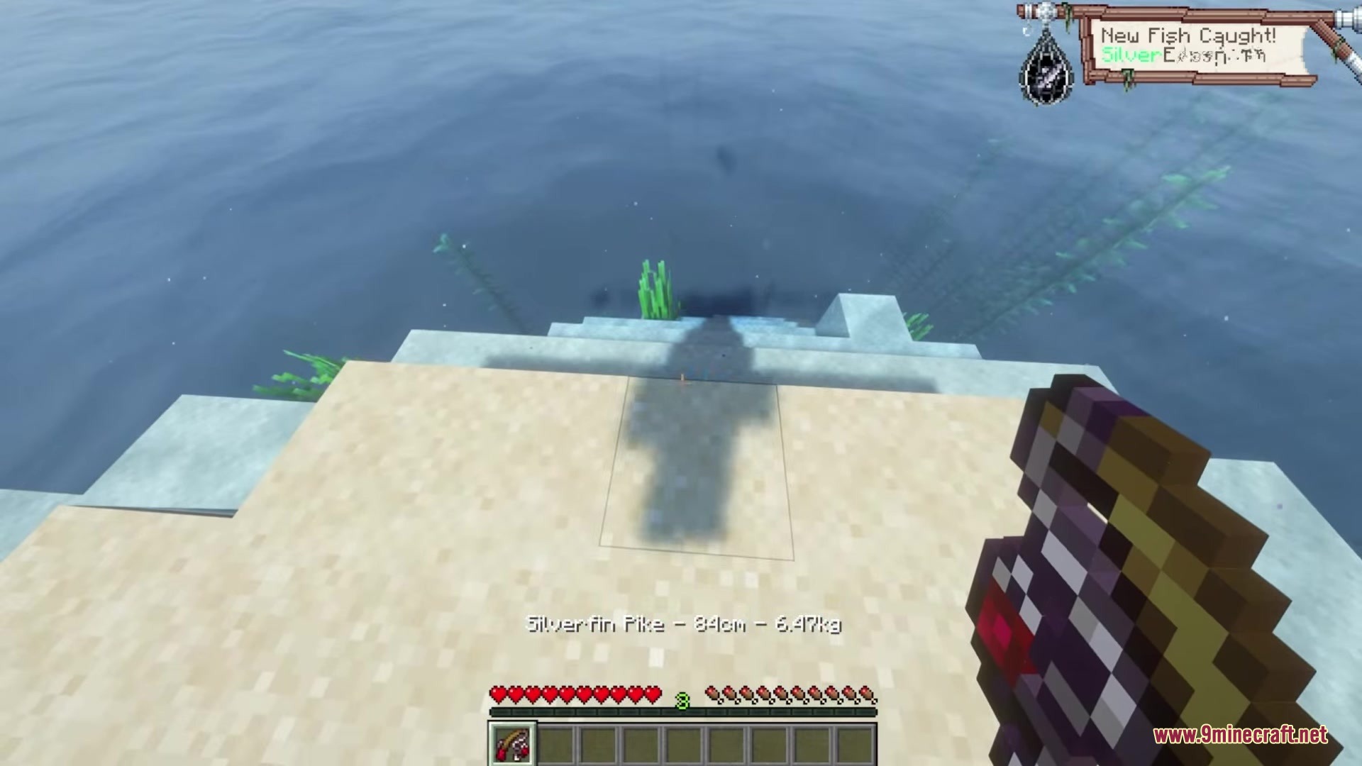 Starcatcher Mod Screenshot 13 Player catches a Silverfin Pike in the Starcatcher Mod fishing minigame