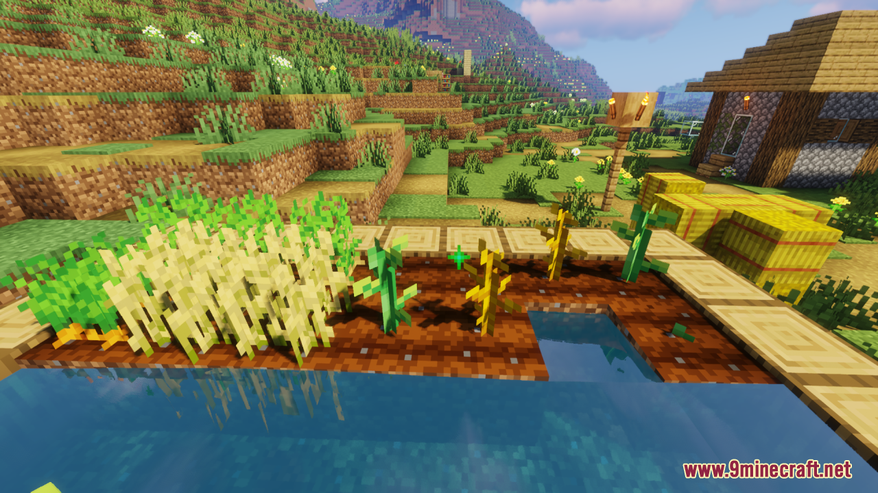 Stemtacular Resource Pack Screenshot 12 Close up of pumpkin and melon stems at various stages of growth