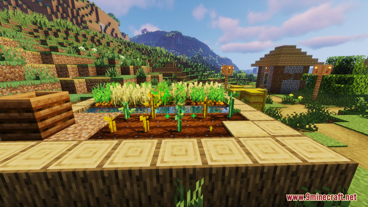 Stemtacular Resource Pack Screenshot 8 Close up of different pumpkin and melon stems in a Minecraft garden