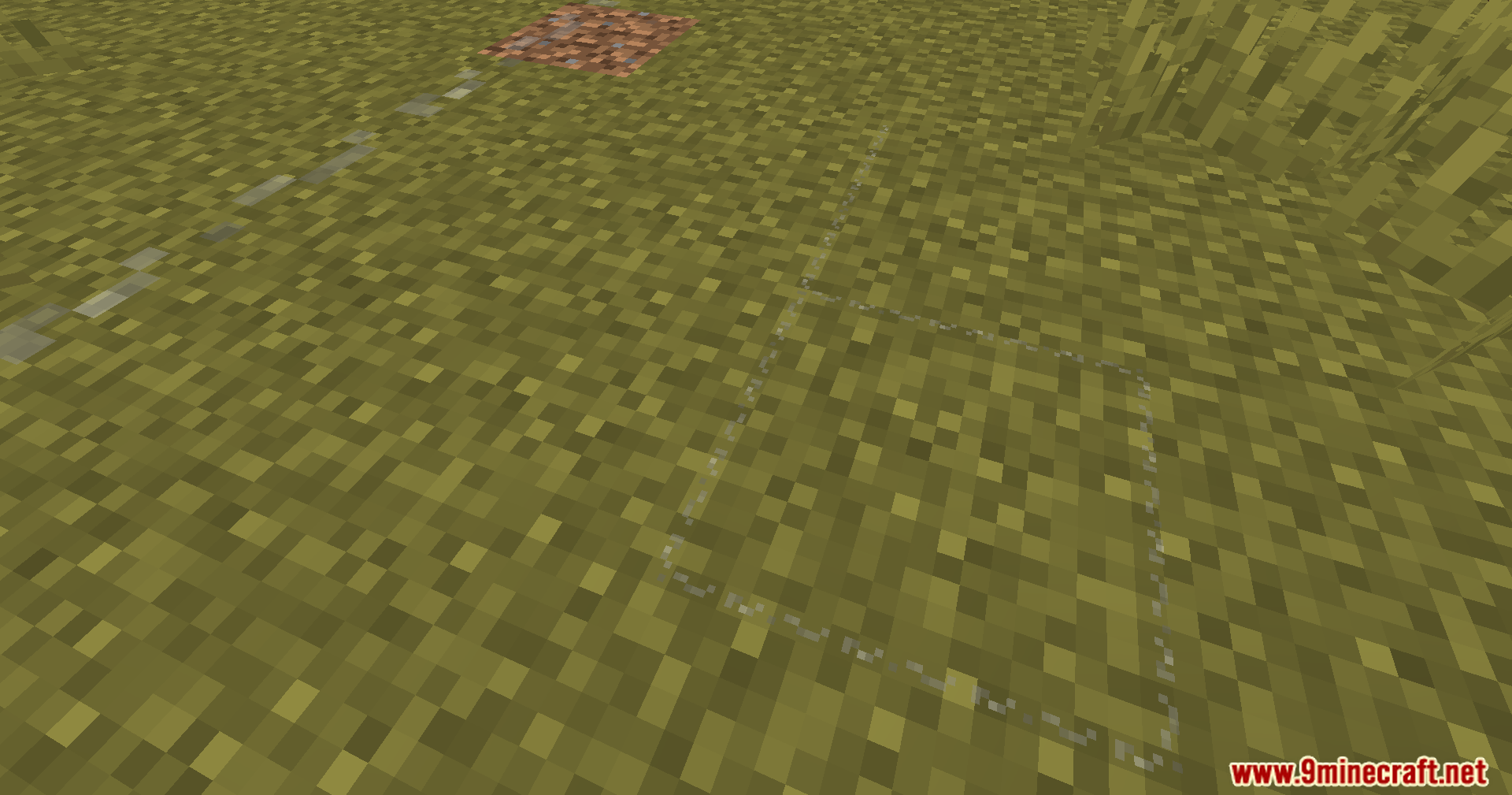 A line of string placed on grass blocks in the game world