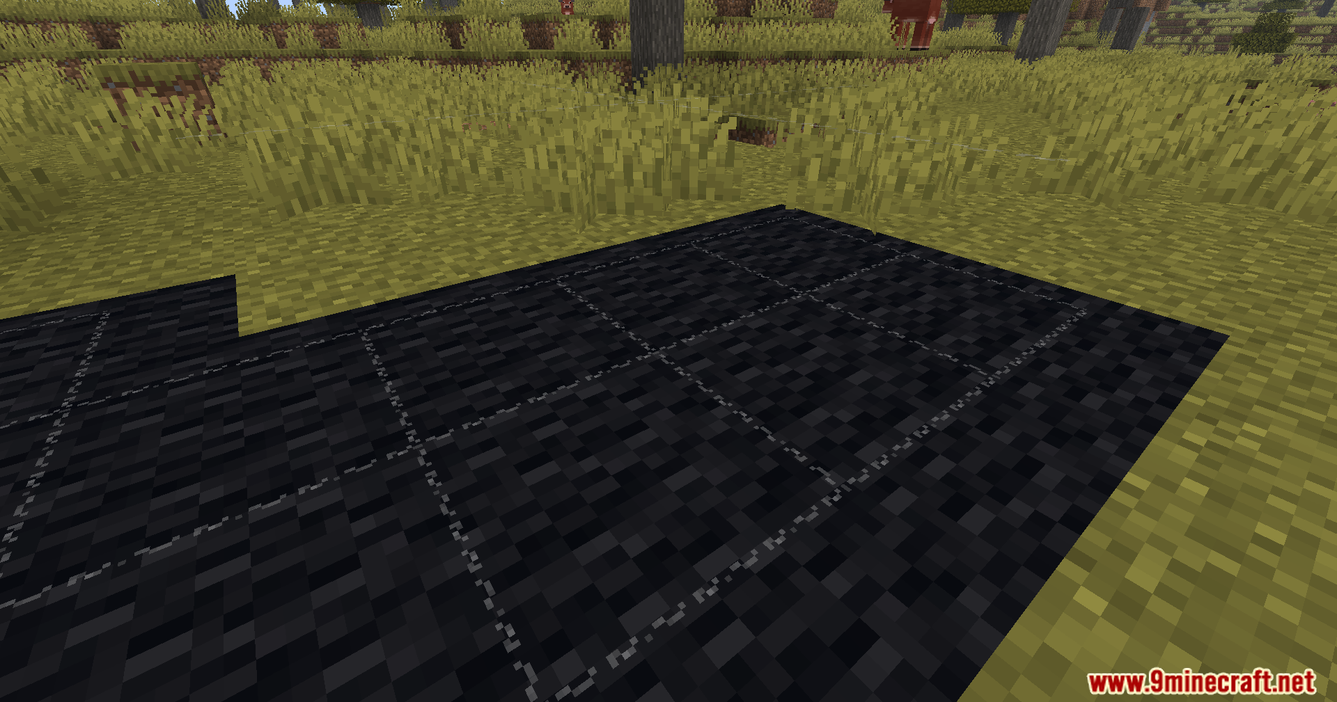Close up view of black carpet blocks placed on the savanna grass