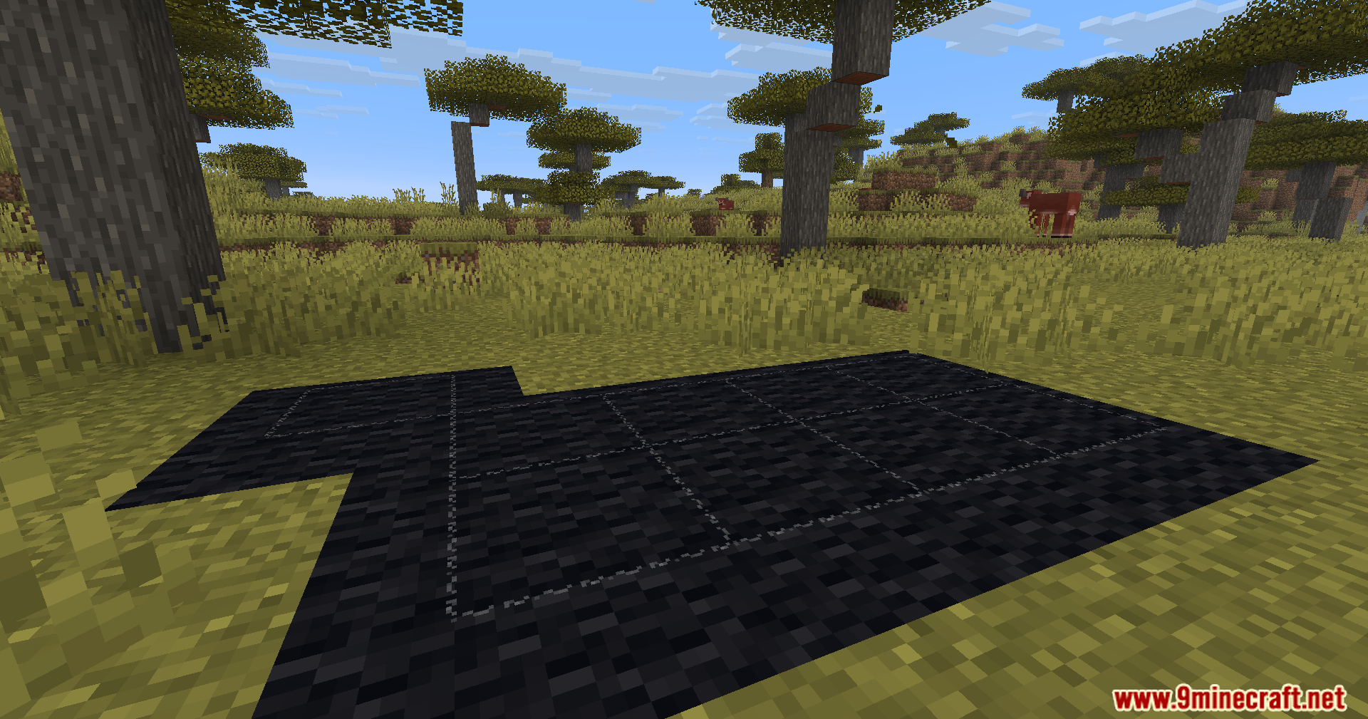 Black carpet blocks placed on the ground in a savanna biome with trees