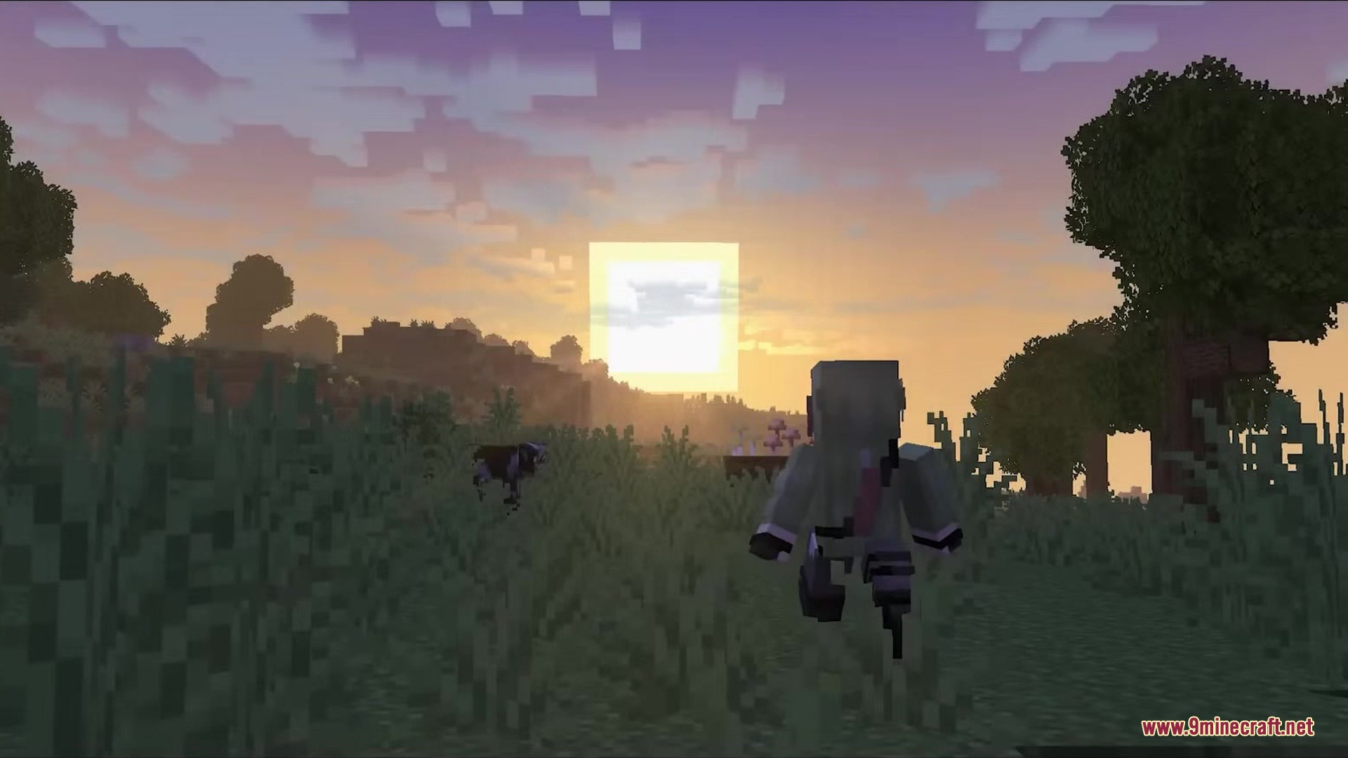 Sunbathing Godrays Resource Pack Screenshot 7 A player character walking through tall grass during a beautiful Minecraft sunset