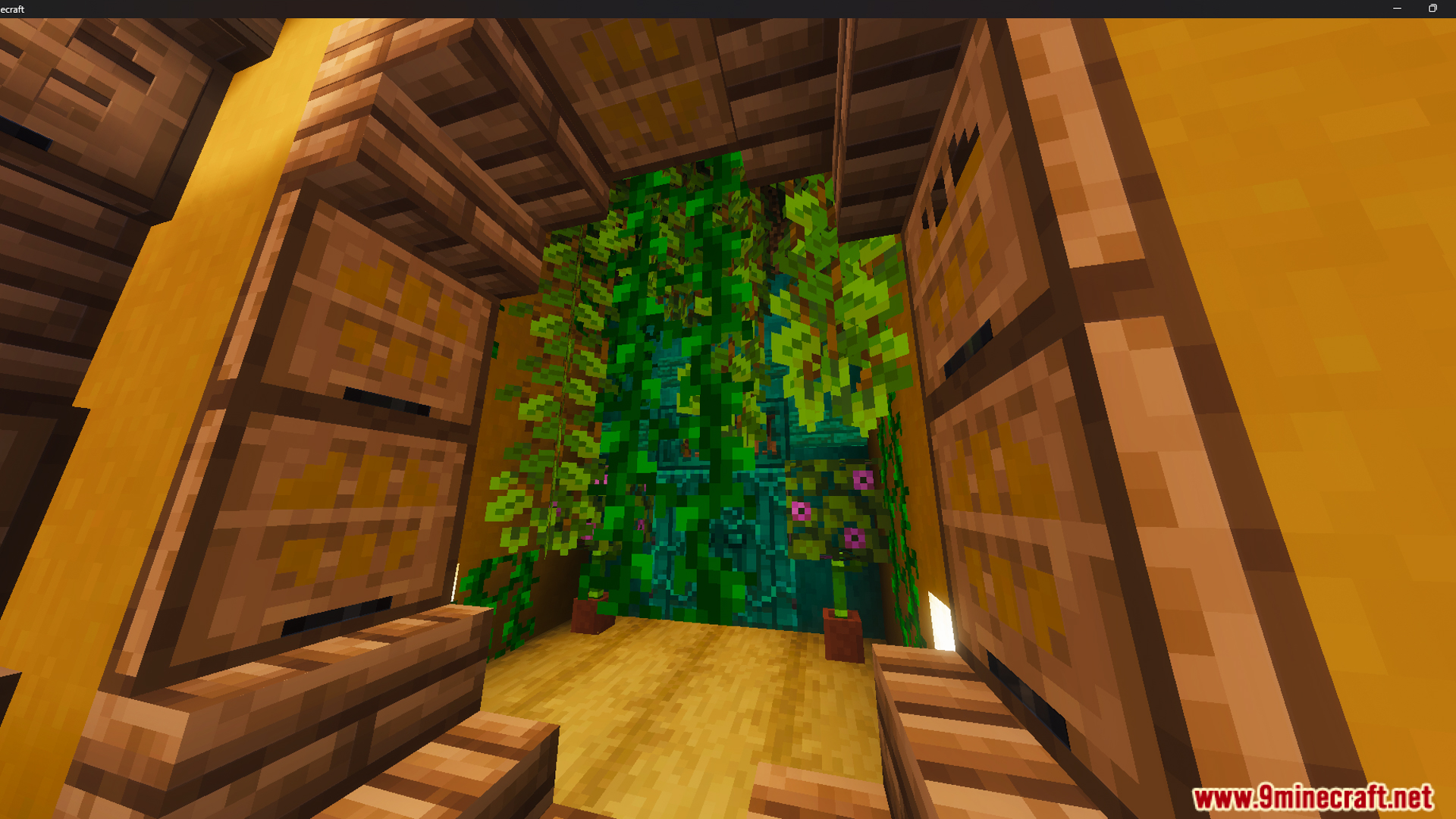 Lush green vines hanging inside a room with wooden shelves and teal walls