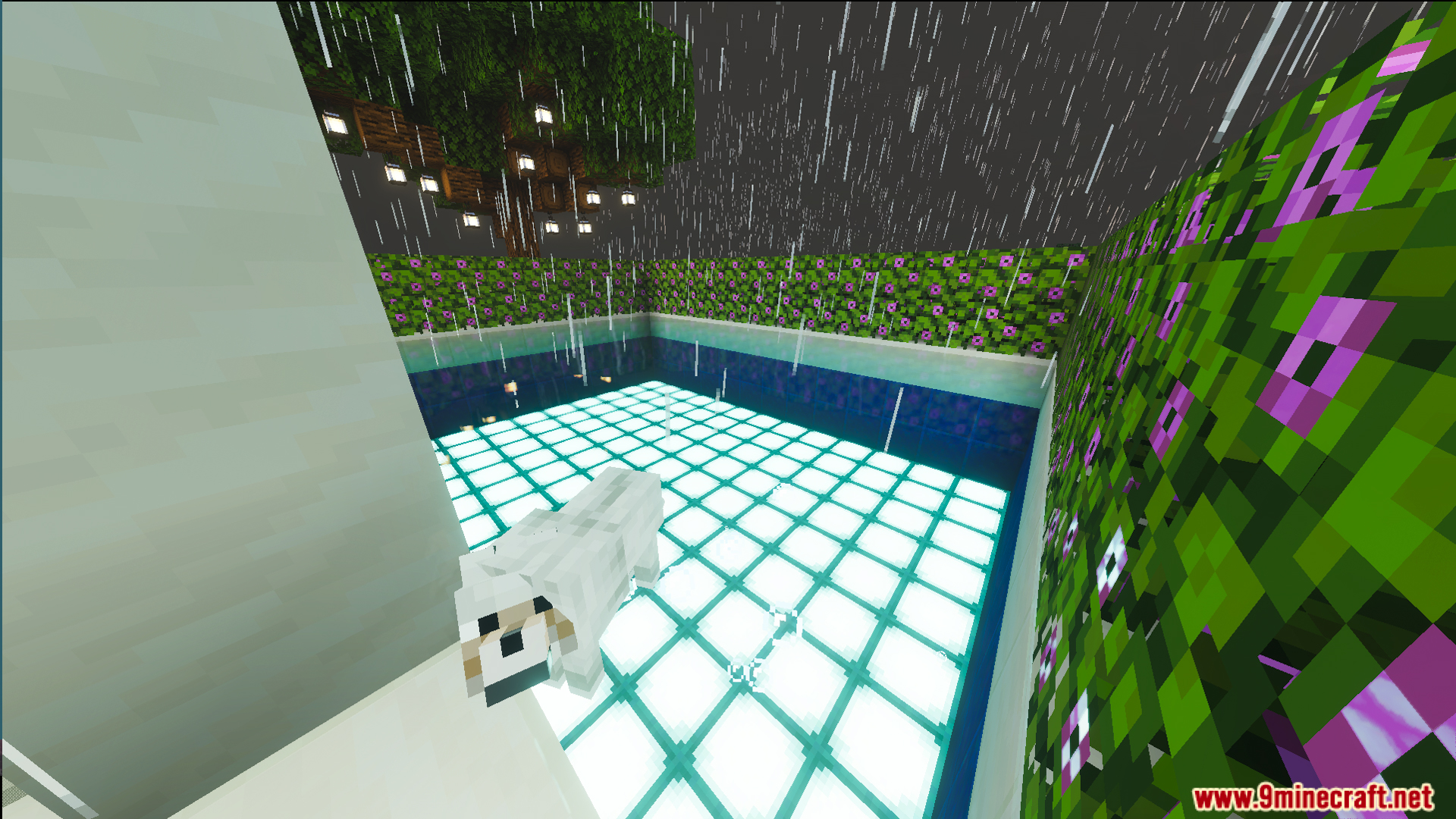 A white wolf stands beside a glowing swimming pool in the rain