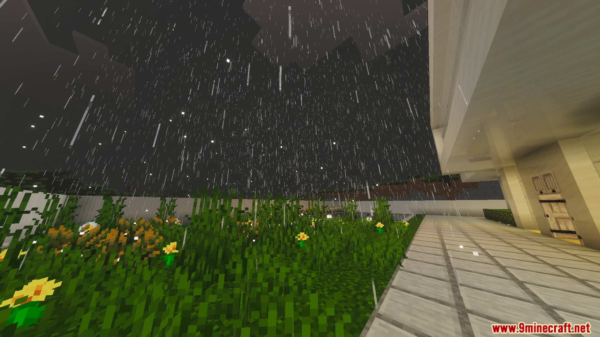 Lush green grass and yellow flowers in a garden during a rainy day